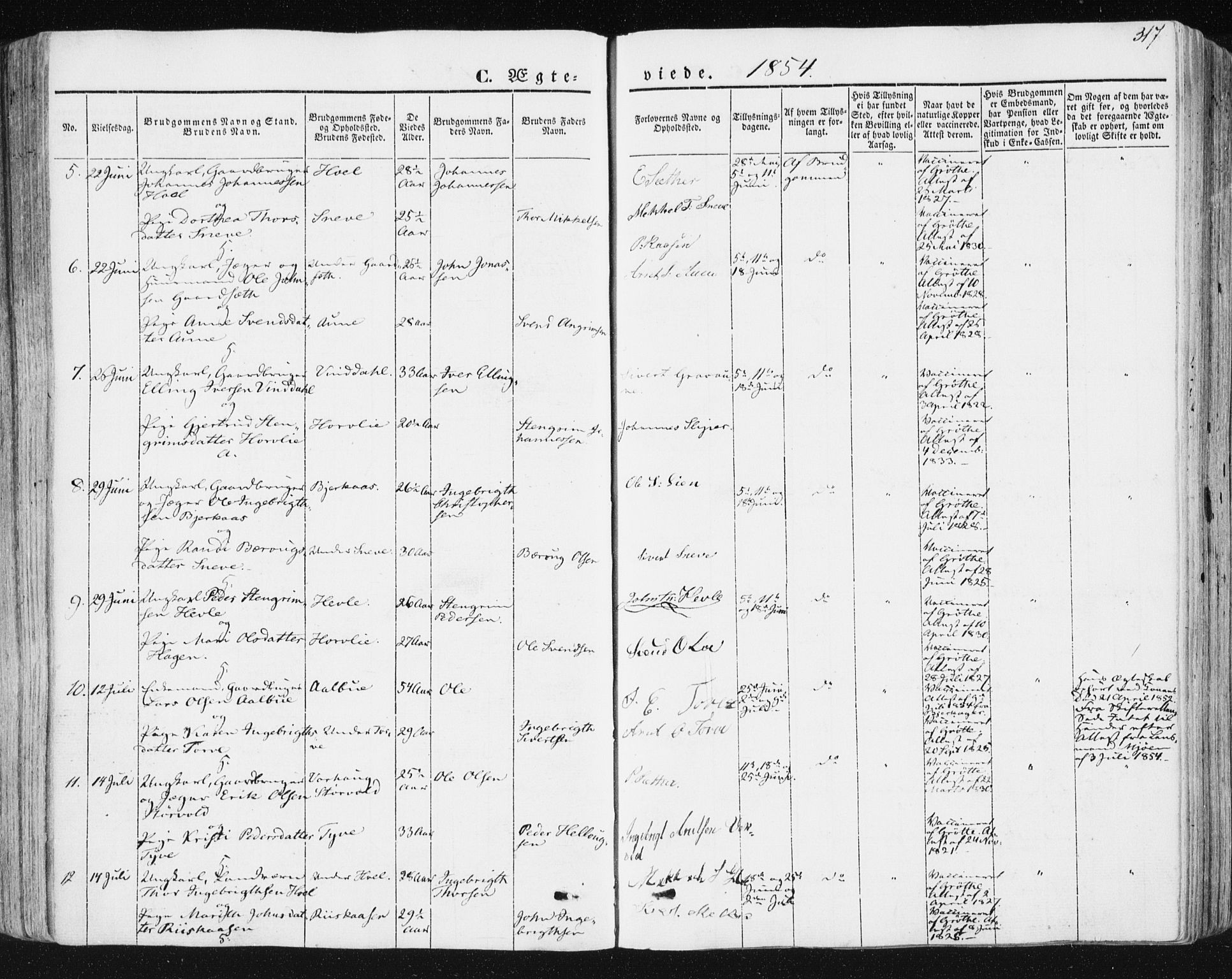 Ministerialprotokoller, klokkerbøker og fødselsregistre - Sør-Trøndelag, AV/SAT-A-1456/678/L0899: Parish register (official) no. 678A08, 1848-1872, p. 317