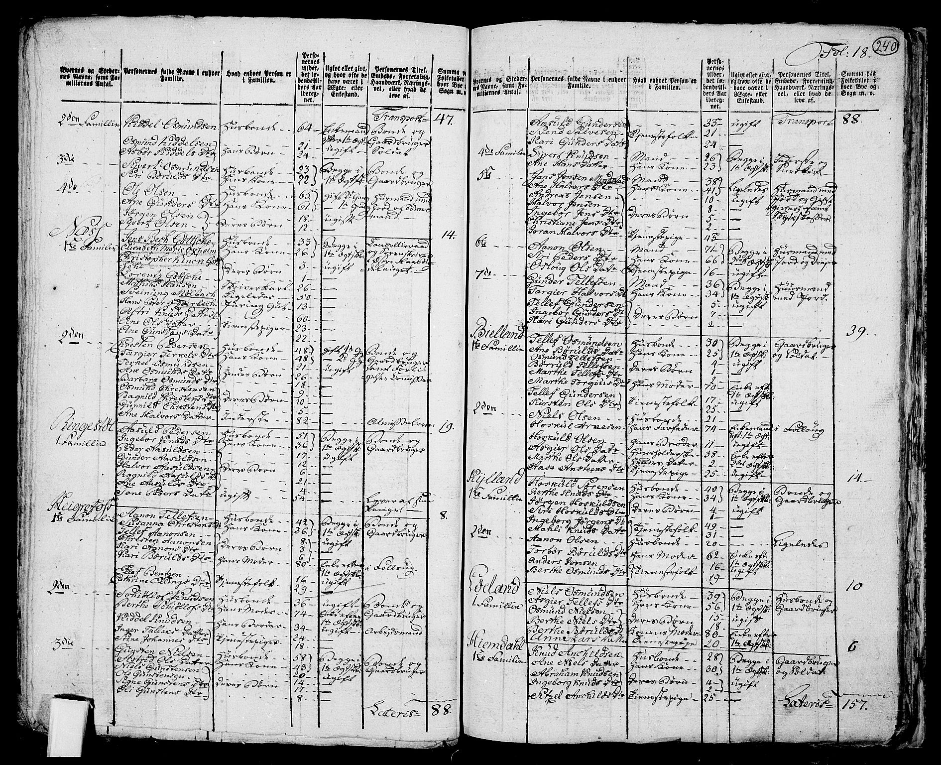 RA, 1801 census for 0924P Homedal, 1801, p. 239b-240a