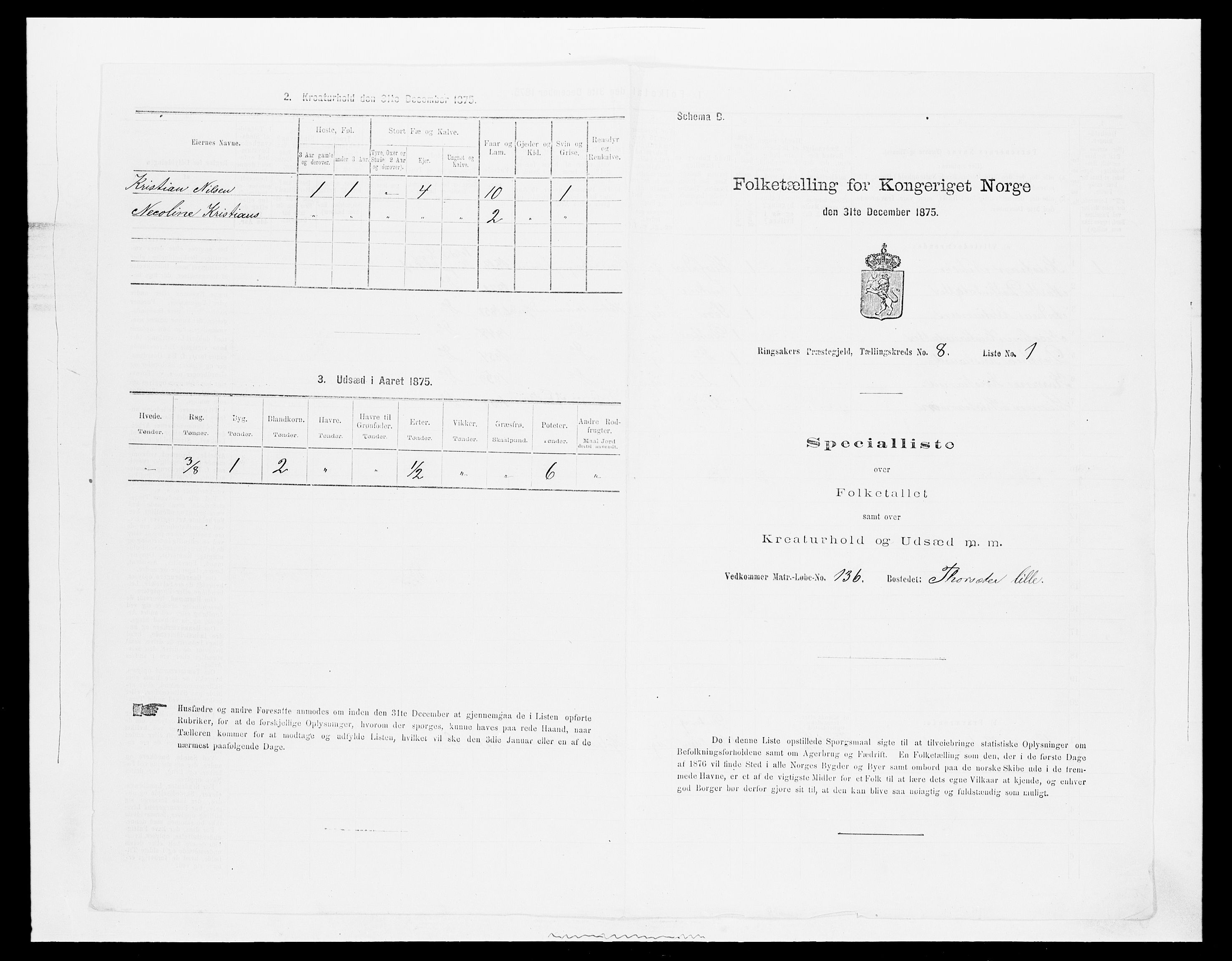 SAH, 1875 census for 0412P Ringsaker, 1875, p. 1628