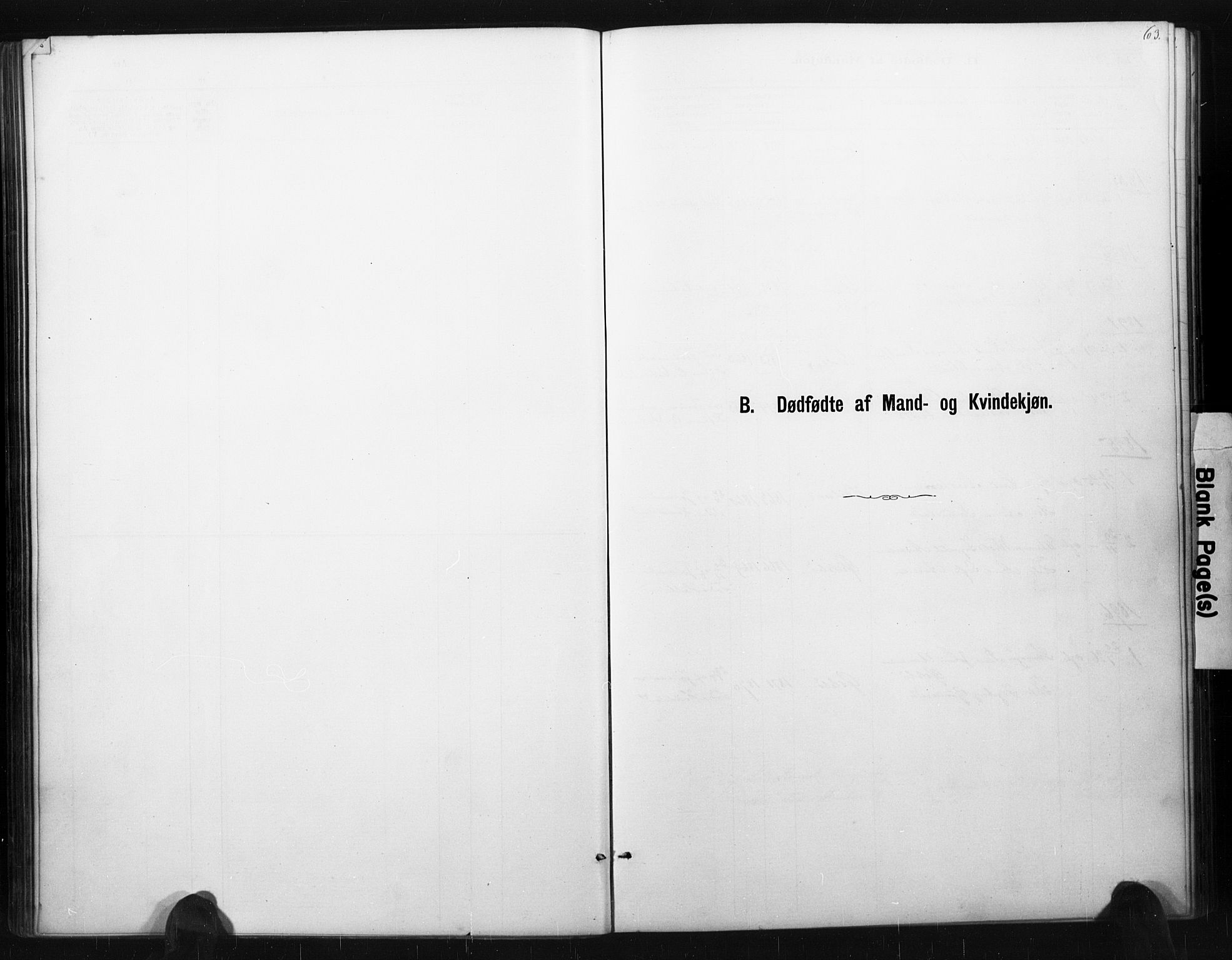Holum sokneprestkontor, SAK/1111-0022/F/Fa/Fac/L0004: Parish register (official) no. A 4, 1884-1907, p. 63