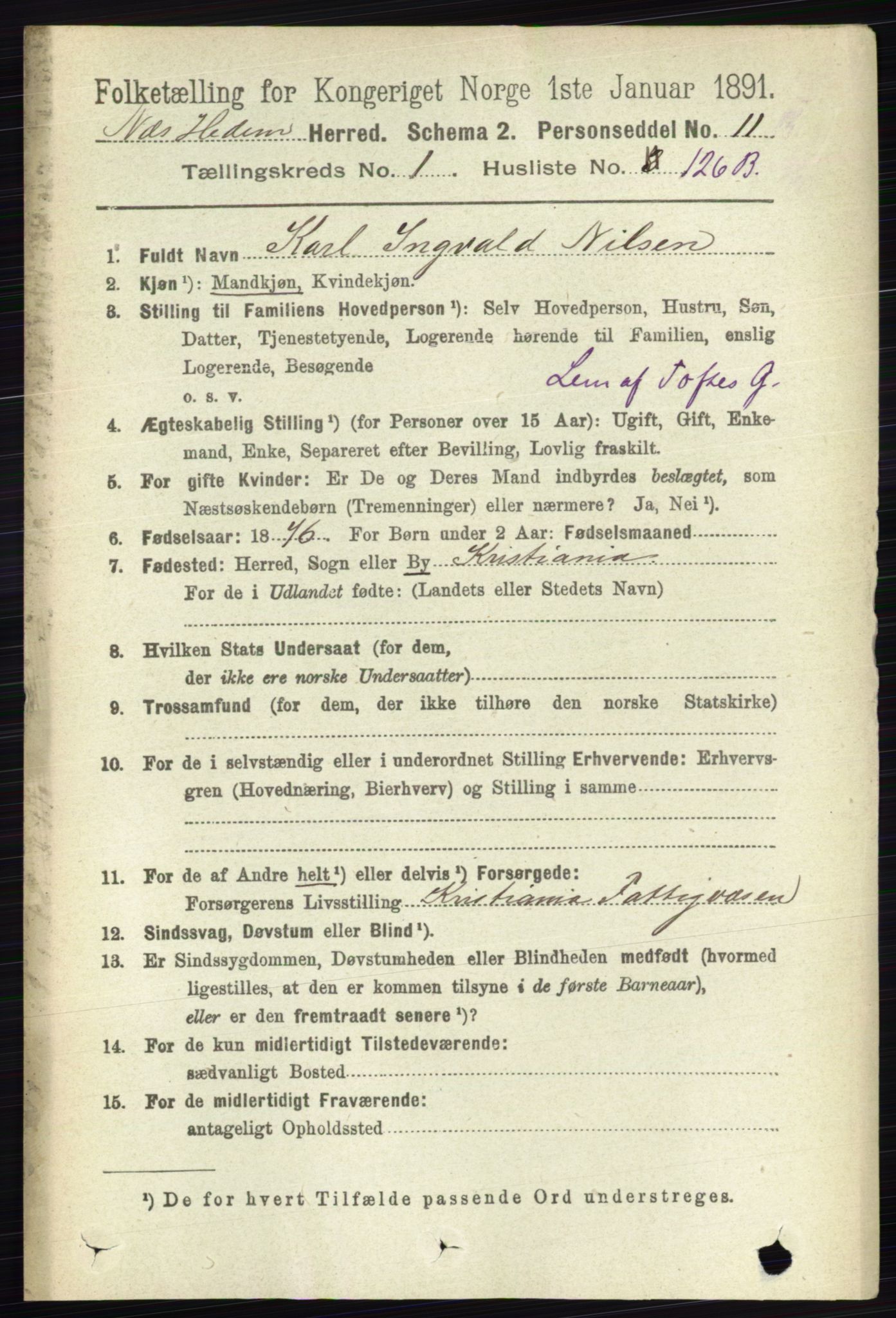 RA, 1891 census for 0411 Nes, 1891, p. 918