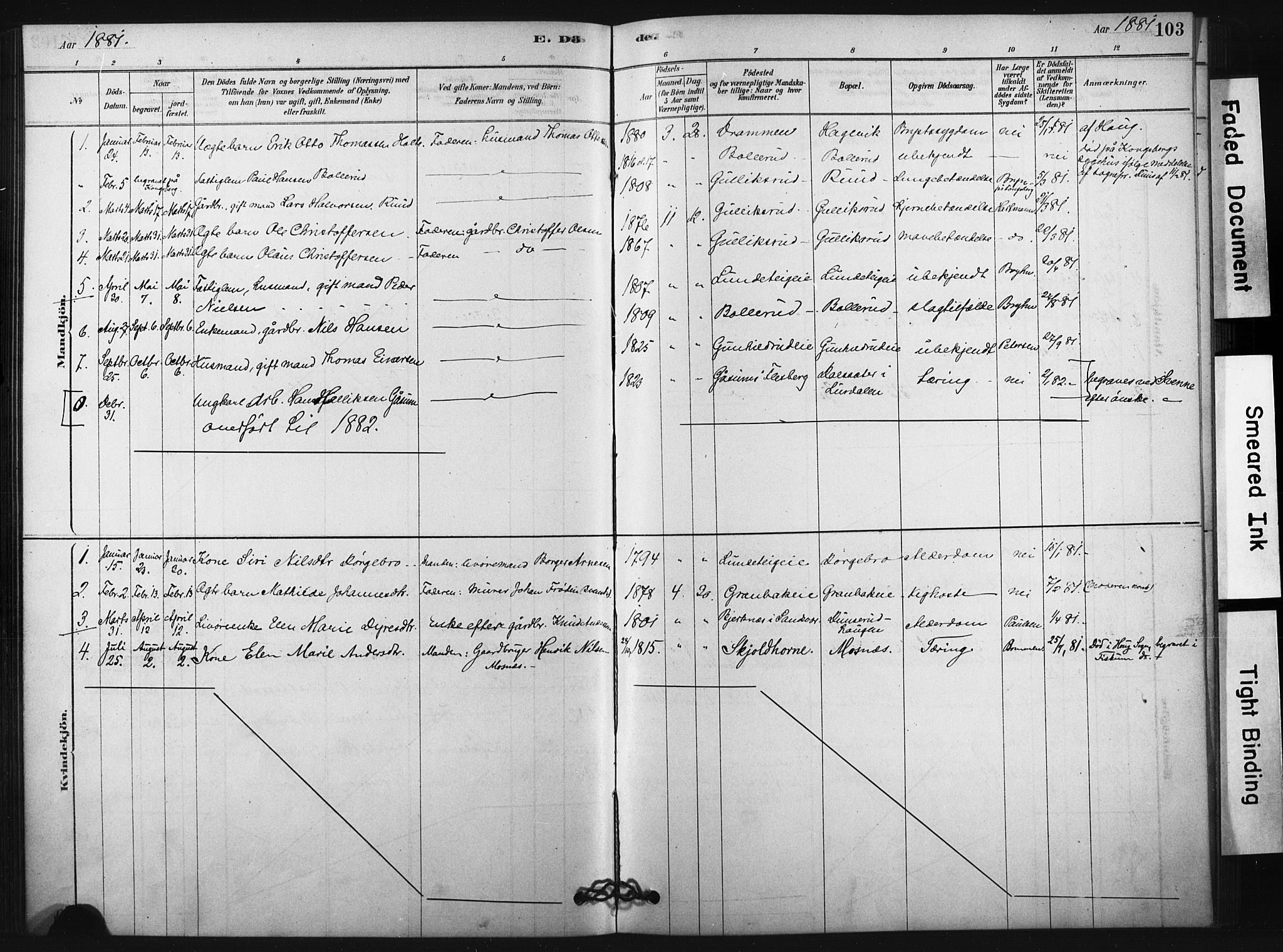 Fiskum kirkebøker, SAKO/A-15/F/Fa/L0002: Parish register (official) no. 2, 1878-1890, p. 103