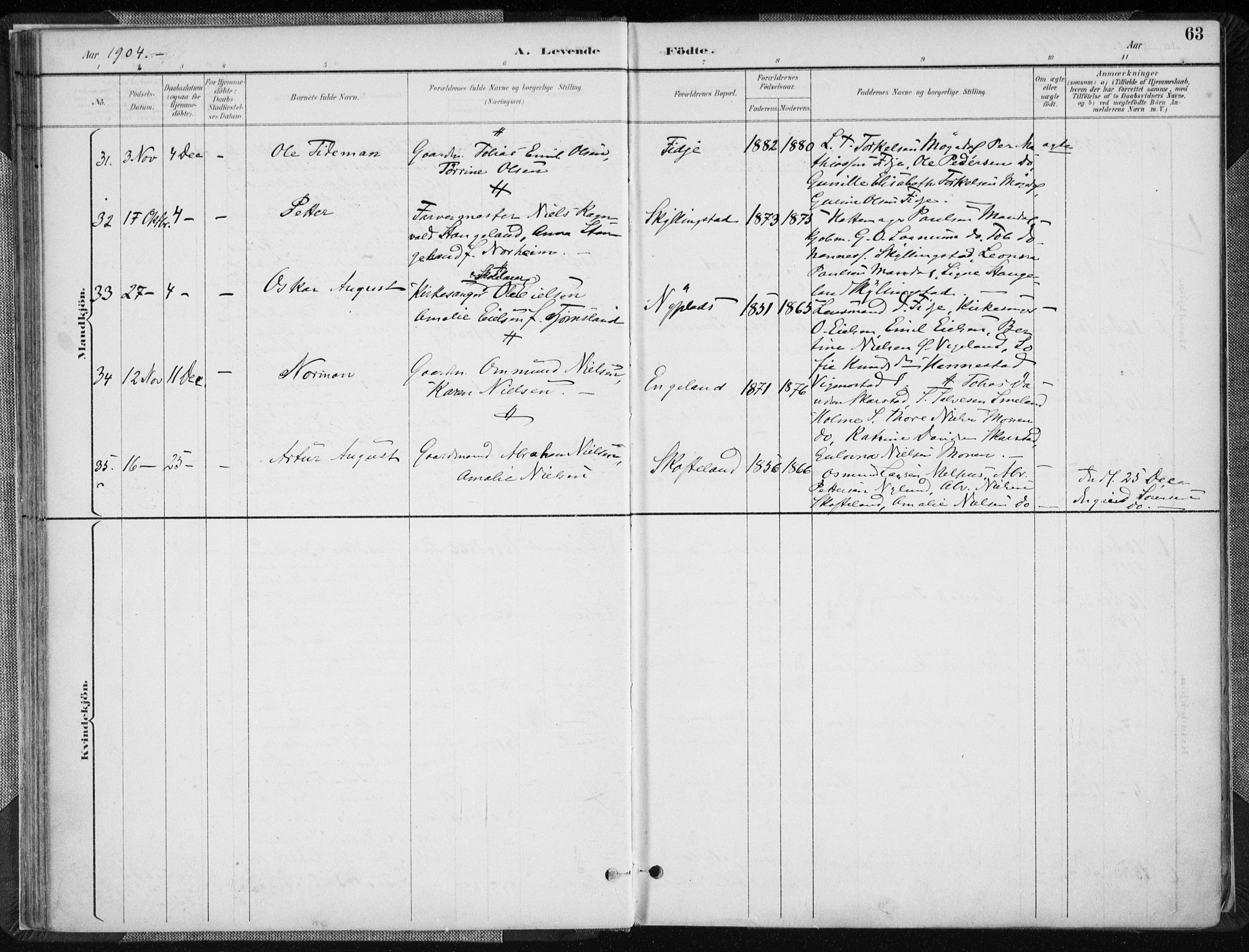 Sør-Audnedal sokneprestkontor, AV/SAK-1111-0039/F/Fa/Fab/L0010: Parish register (official) no. A 10, 1892-1913, p. 63