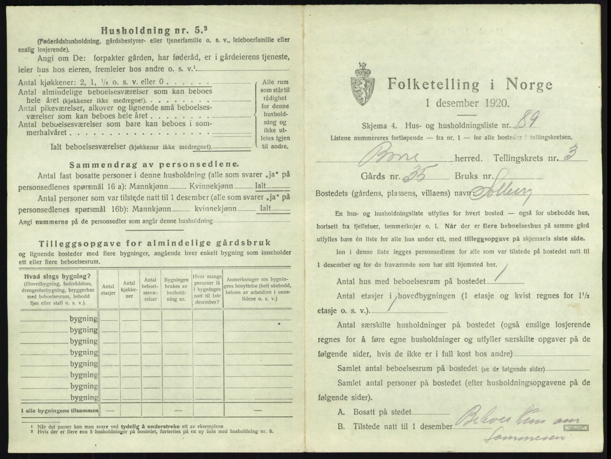 SAKO, 1920 census for Borre, 1920, p. 981