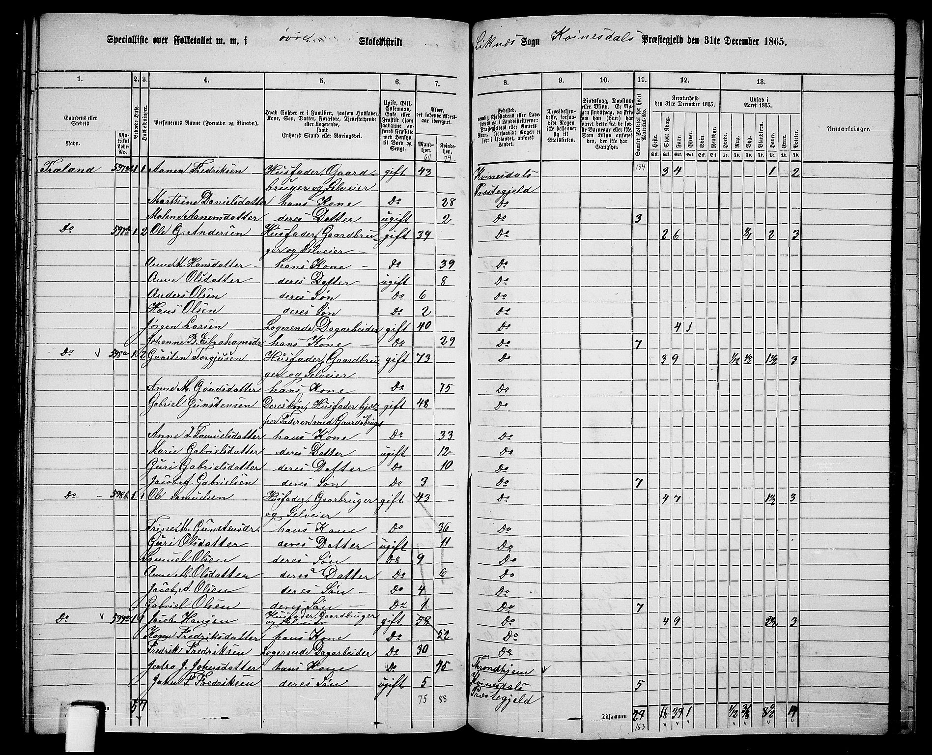 RA, 1865 census for Kvinesdal, 1865, p. 165