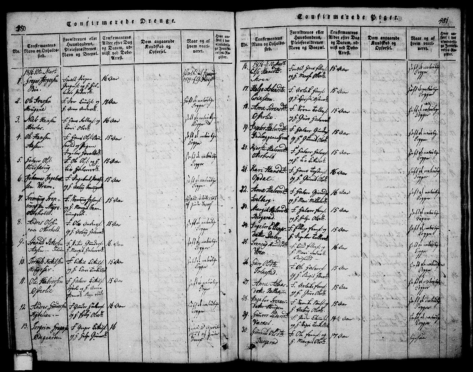 Bø kirkebøker, AV/SAKO-A-257/G/Ga/L0001: Parish register (copy) no. 1, 1815-1831, p. 480-481