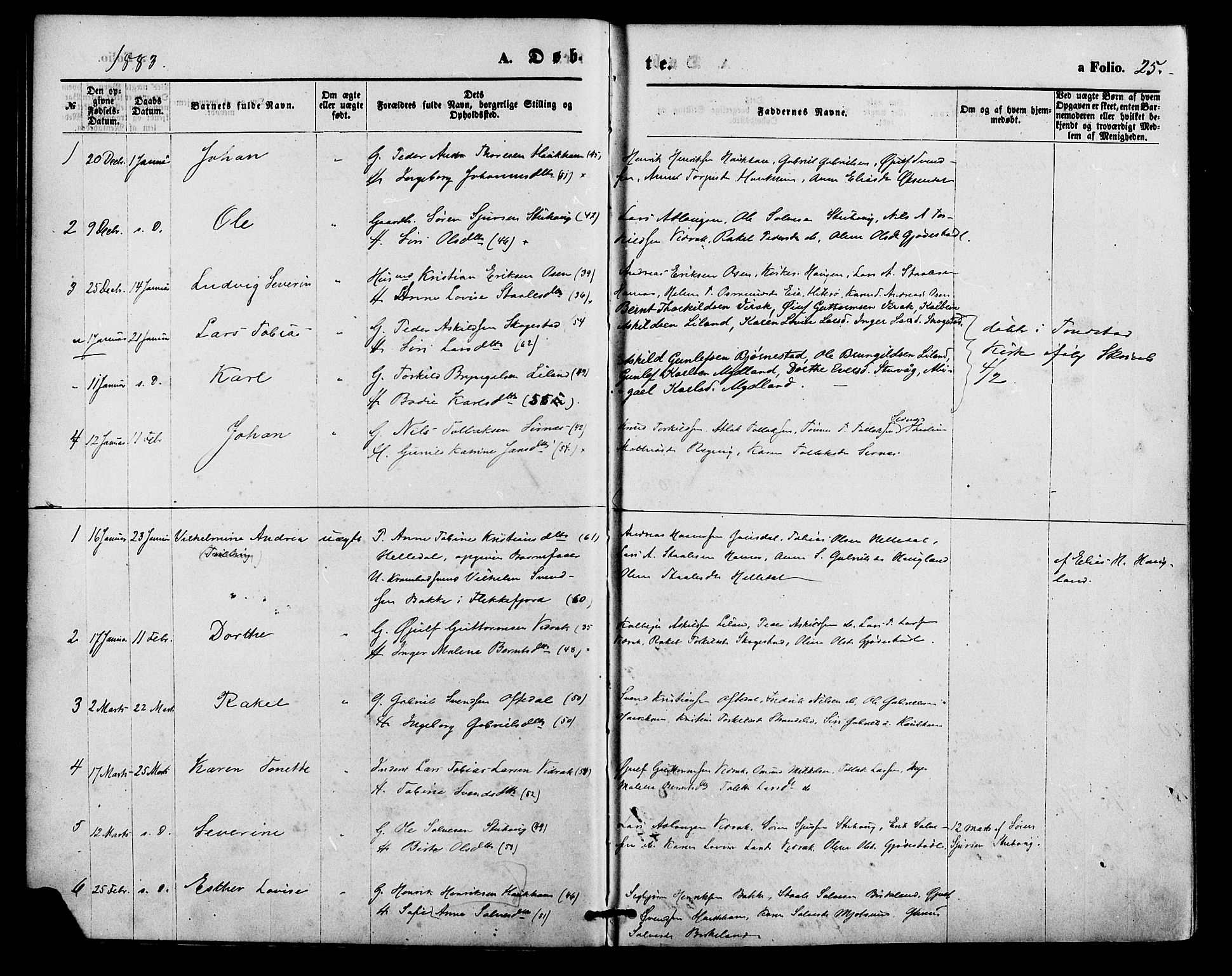 Bakke sokneprestkontor, SAK/1111-0002/F/Fa/Faa/L0007: Parish register (official) no. A 7, 1877-1886, p. 25