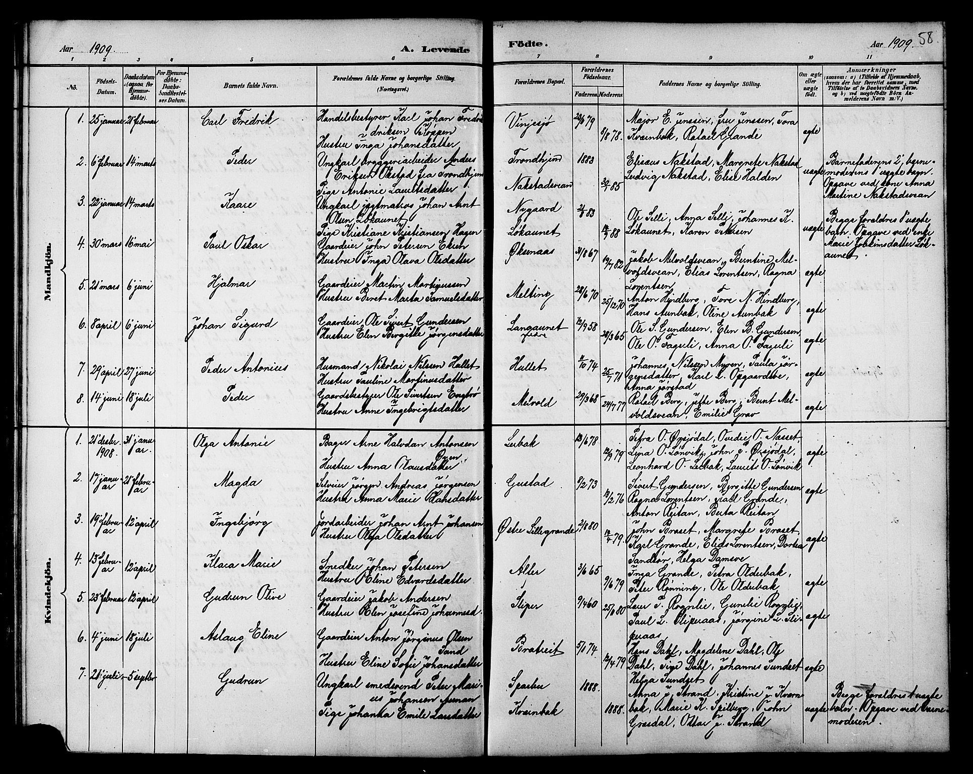 Ministerialprotokoller, klokkerbøker og fødselsregistre - Nord-Trøndelag, AV/SAT-A-1458/733/L0327: Parish register (copy) no. 733C02, 1888-1918, p. 58