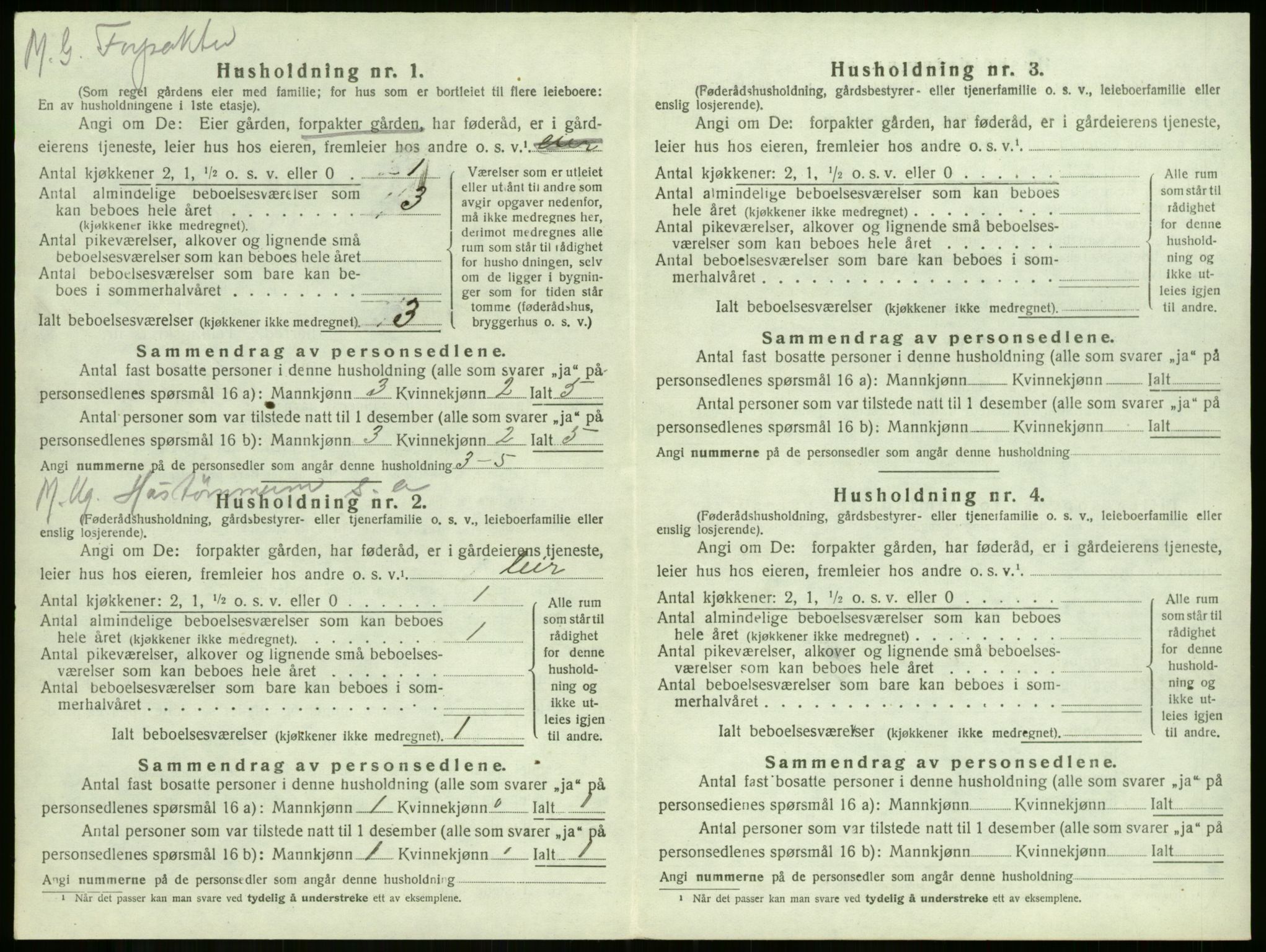 SAKO, 1920 census for Borre, 1920, p. 172