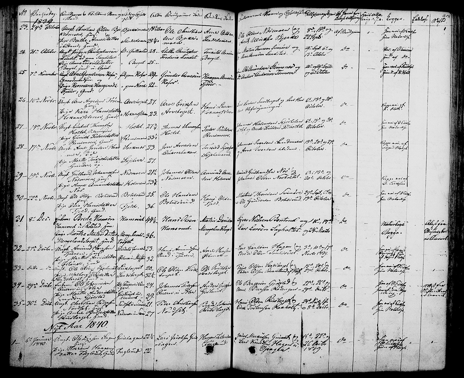 Grue prestekontor, SAH/PREST-036/H/Ha/Haa/L0007: Parish register (official) no. 7, 1830-1847, p. 217