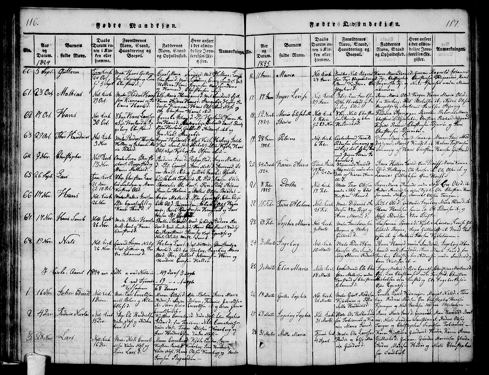 Nøtterøy kirkebøker, AV/SAKO-A-354/F/Fa/L0004: Parish register (official) no. I 4, 1814-1838, p. 116-117