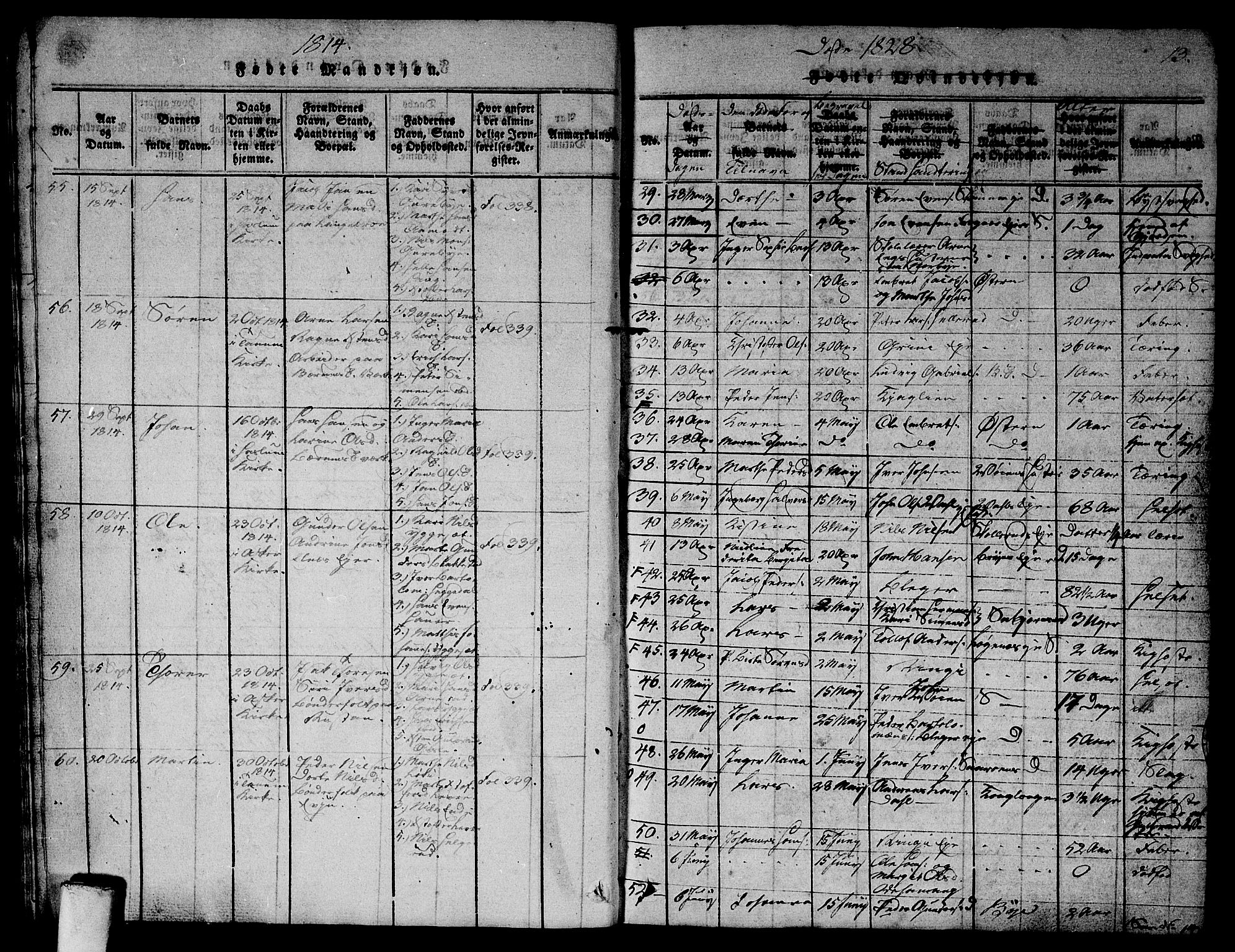 Asker prestekontor Kirkebøker, SAO/A-10256a/G/Ga/L0001: Parish register (copy) no. I 1, 1814-1830, p. 13