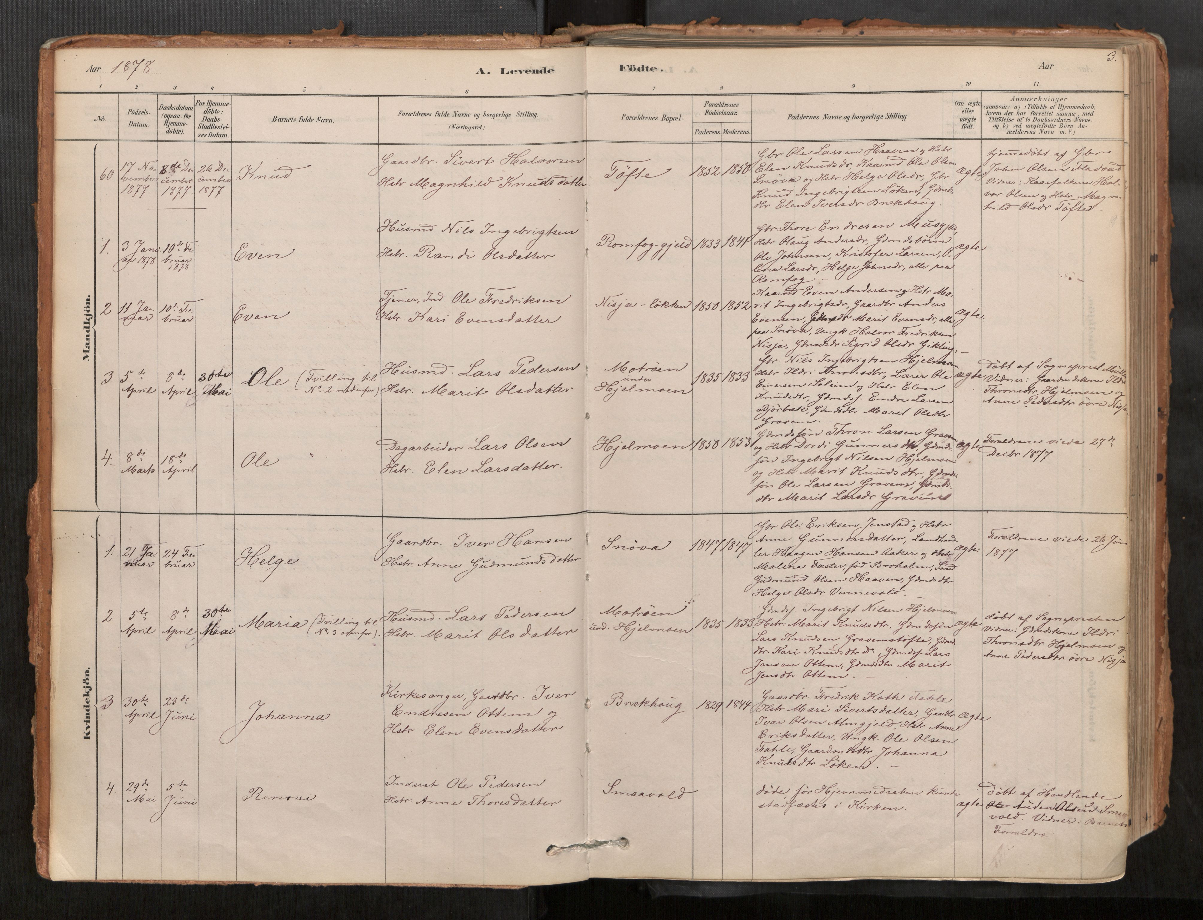 Sunndal sokneprestkontor, AV/SAT-A-1085/1/I/I1/I1a/L0001: Parish register (official) no. 1, 1877-1914, p. 3