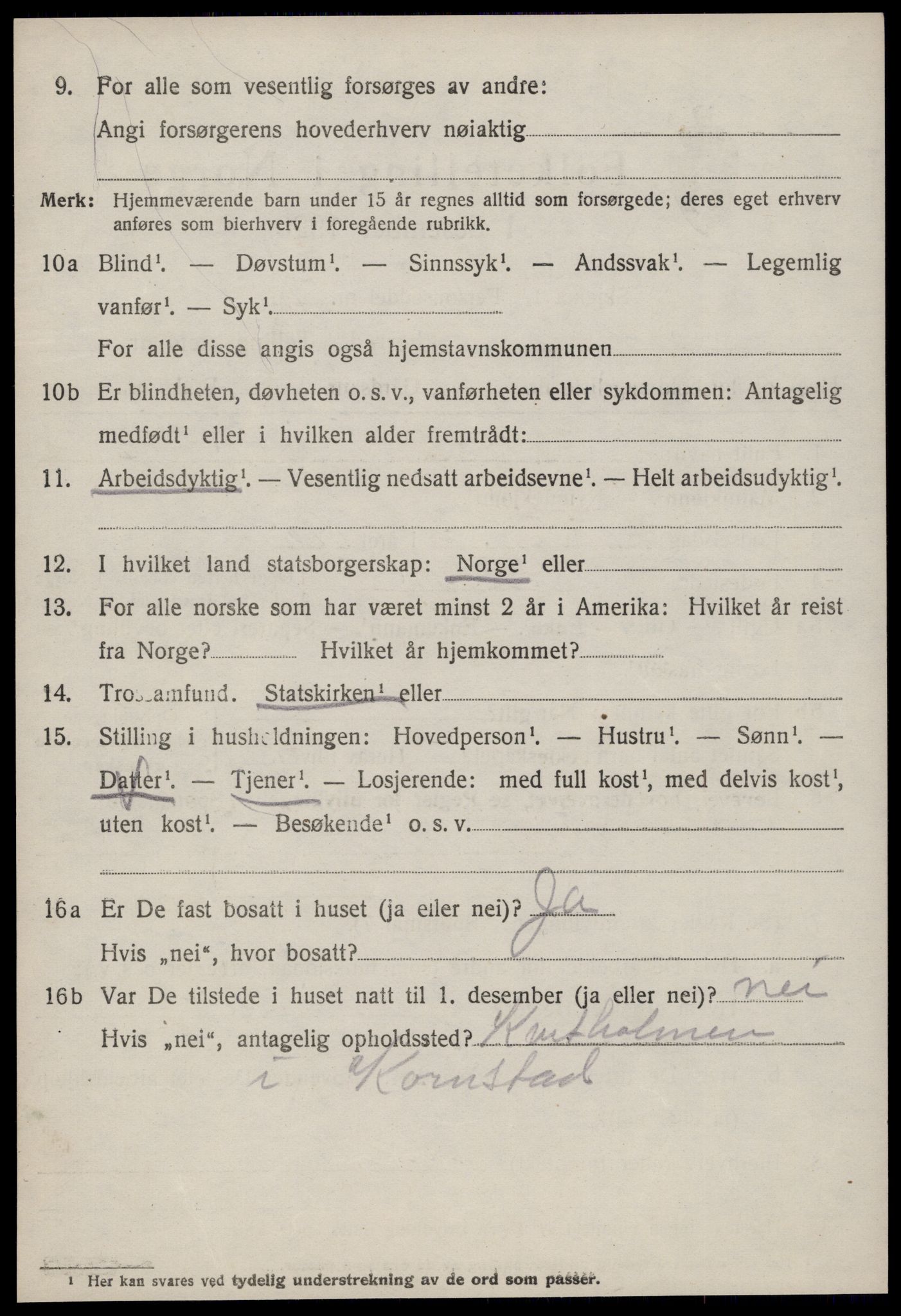 SAT, 1920 census for Hustad, 1920, p. 1484