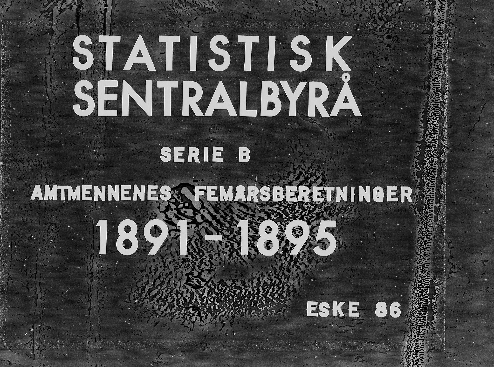 Statistisk sentralbyrå, Næringsøkonomiske emner, Generelt - Amtmennenes femårsberetninger, RA/S-2233/F/Fa/L0086: --, 1895, p. 1