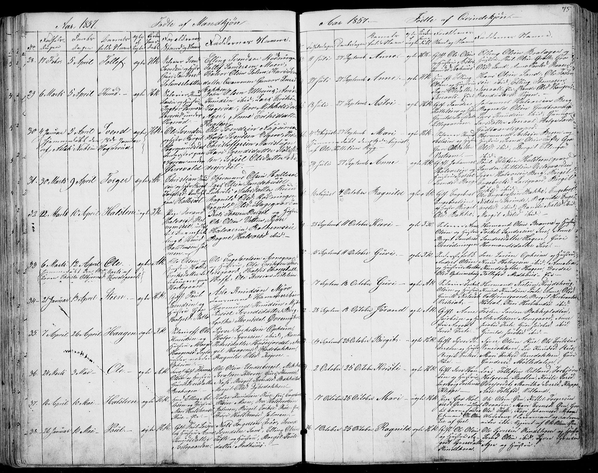 Ål kirkebøker, AV/SAKO-A-249/F/Fa/L0006: Parish register (official) no. I 6, 1849-1864, p. 75