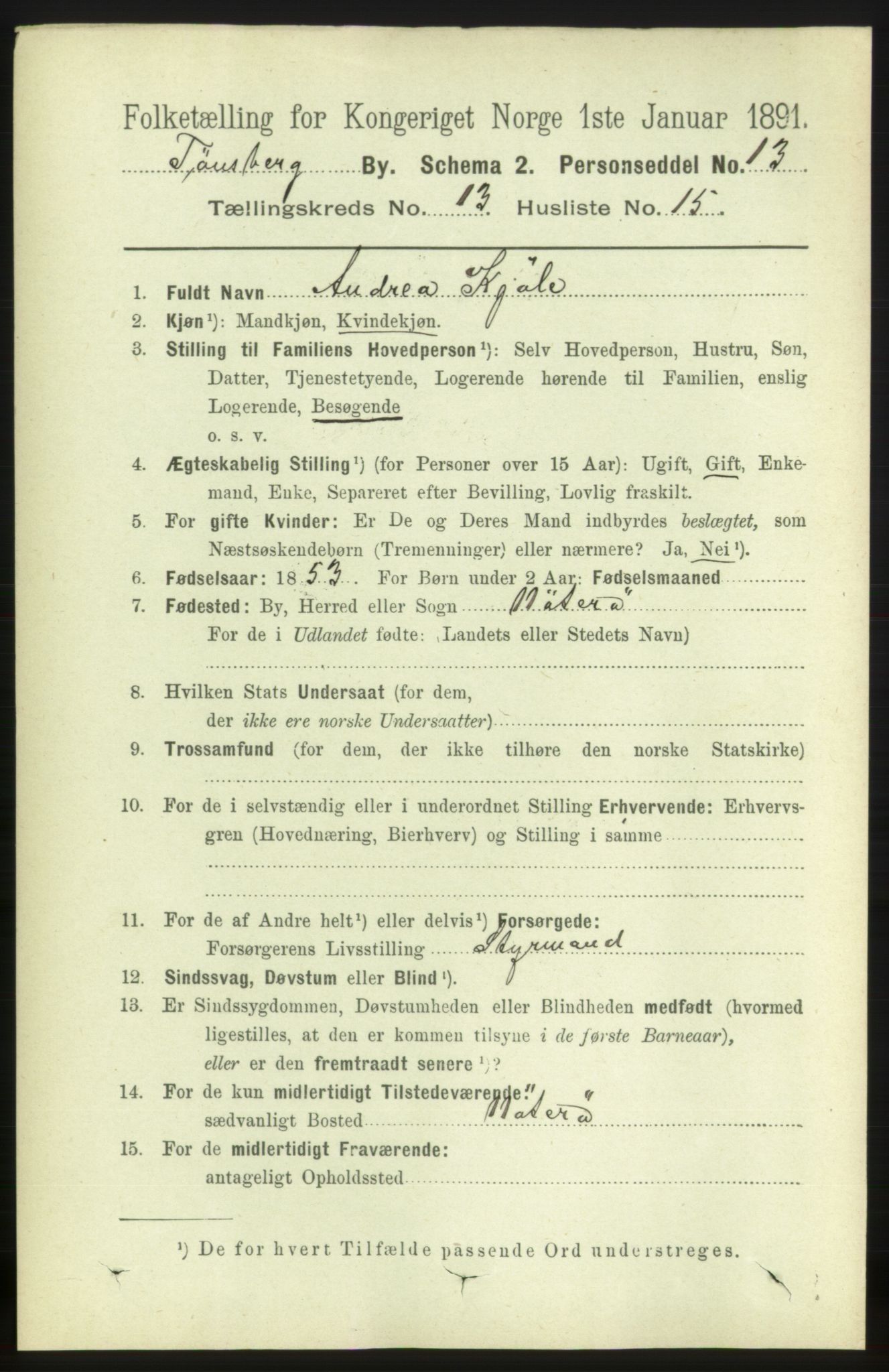 RA, 1891 census for 0705 Tønsberg, 1891, p. 4502