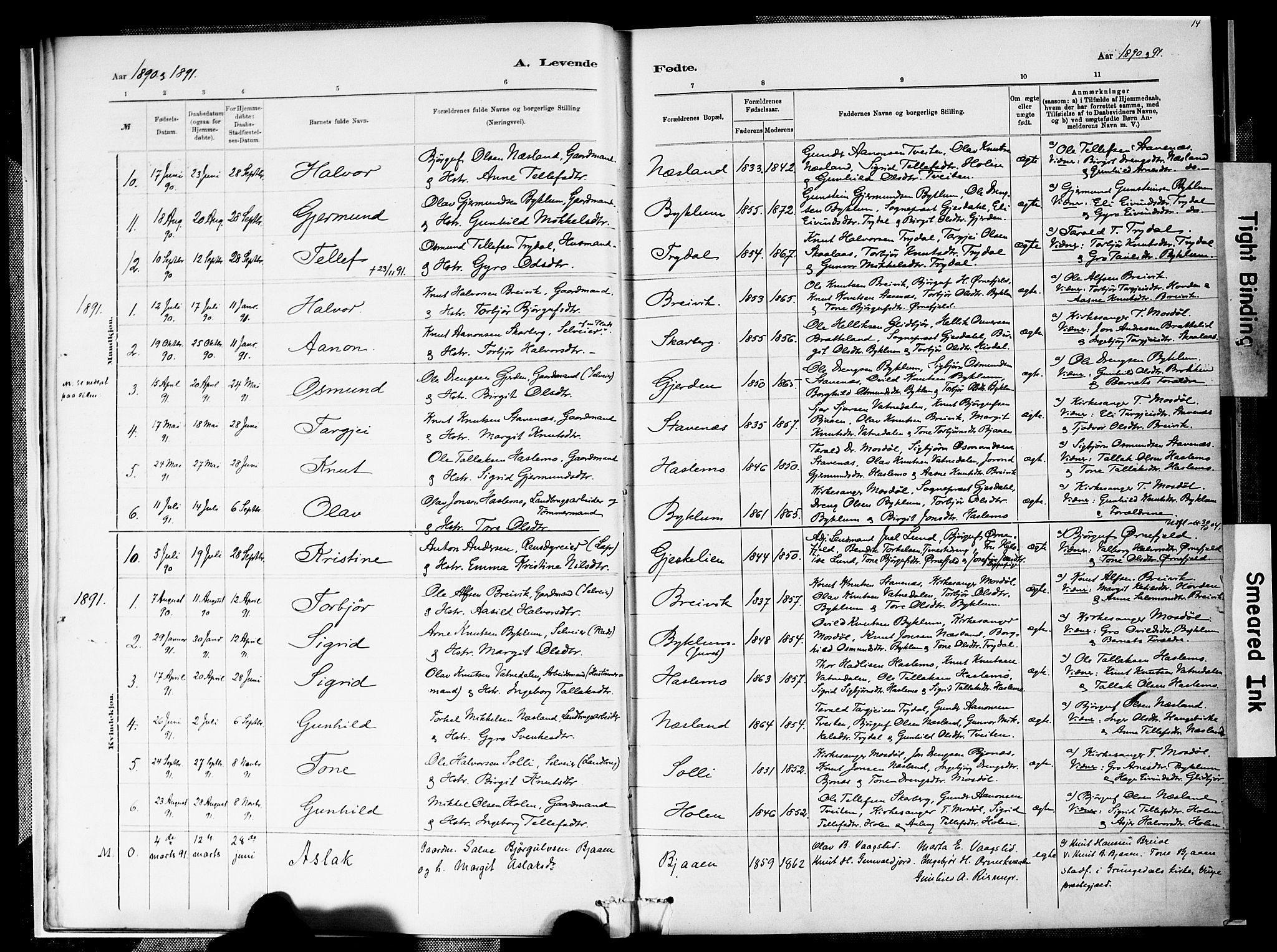 Valle sokneprestkontor, SAK/1111-0044/F/Fa/Faa/L0001: Parish register (official) no. A 1, 1882-1907, p. 14