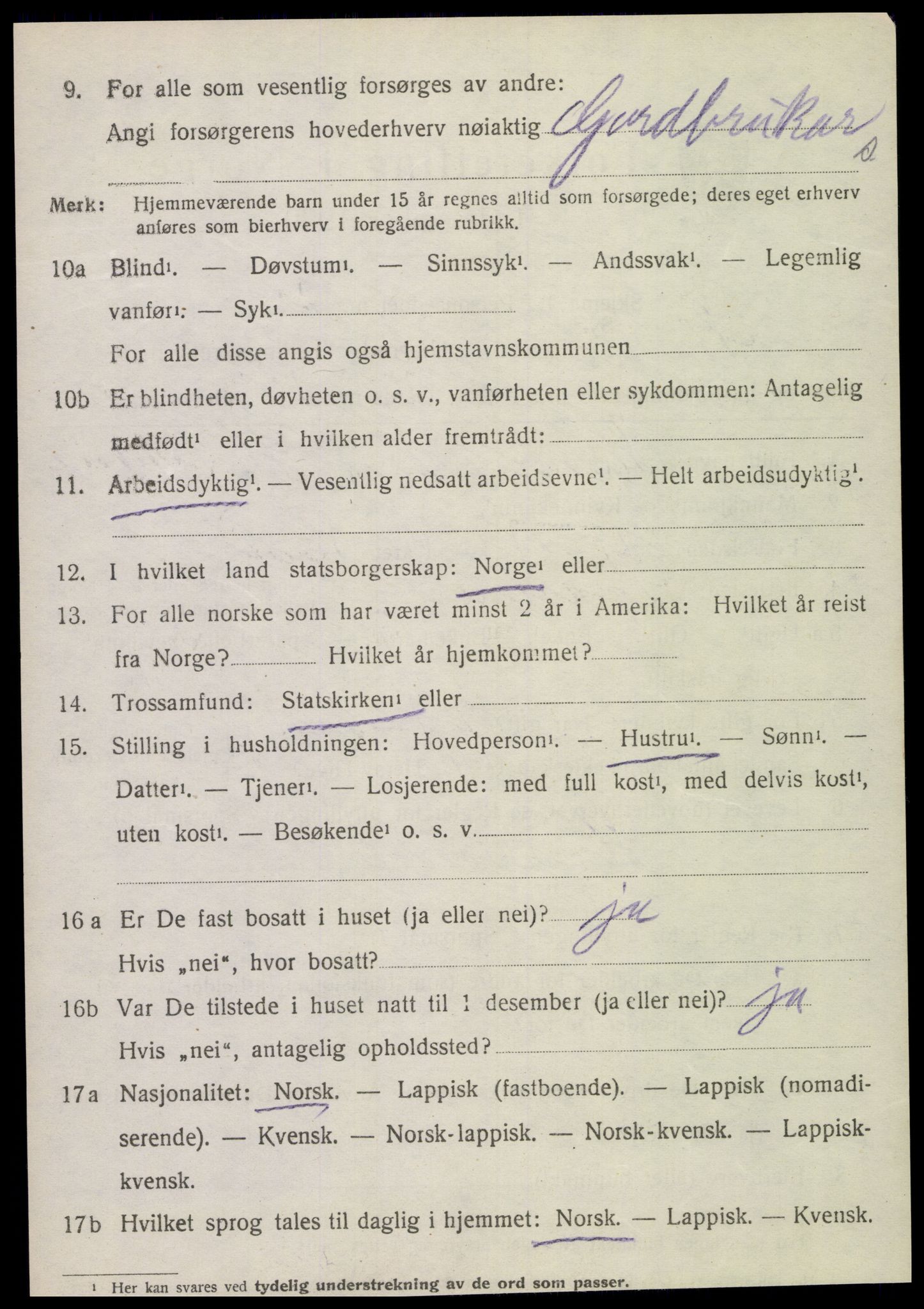 SAT, 1920 census for Sparbu, 1920, p. 5208