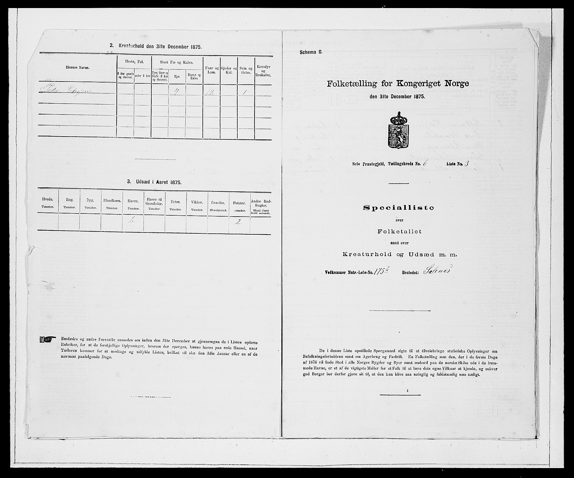 SAB, 1875 Census for 1441P Selje, 1875, p. 706