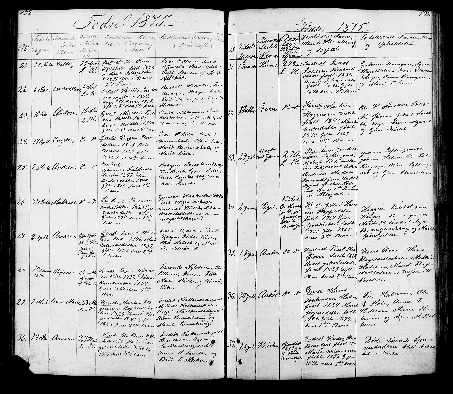 Lesja prestekontor, SAH/PREST-068/H/Ha/Hab/L0005: Parish register (copy) no. 5, 1850-1894, p. 132-133