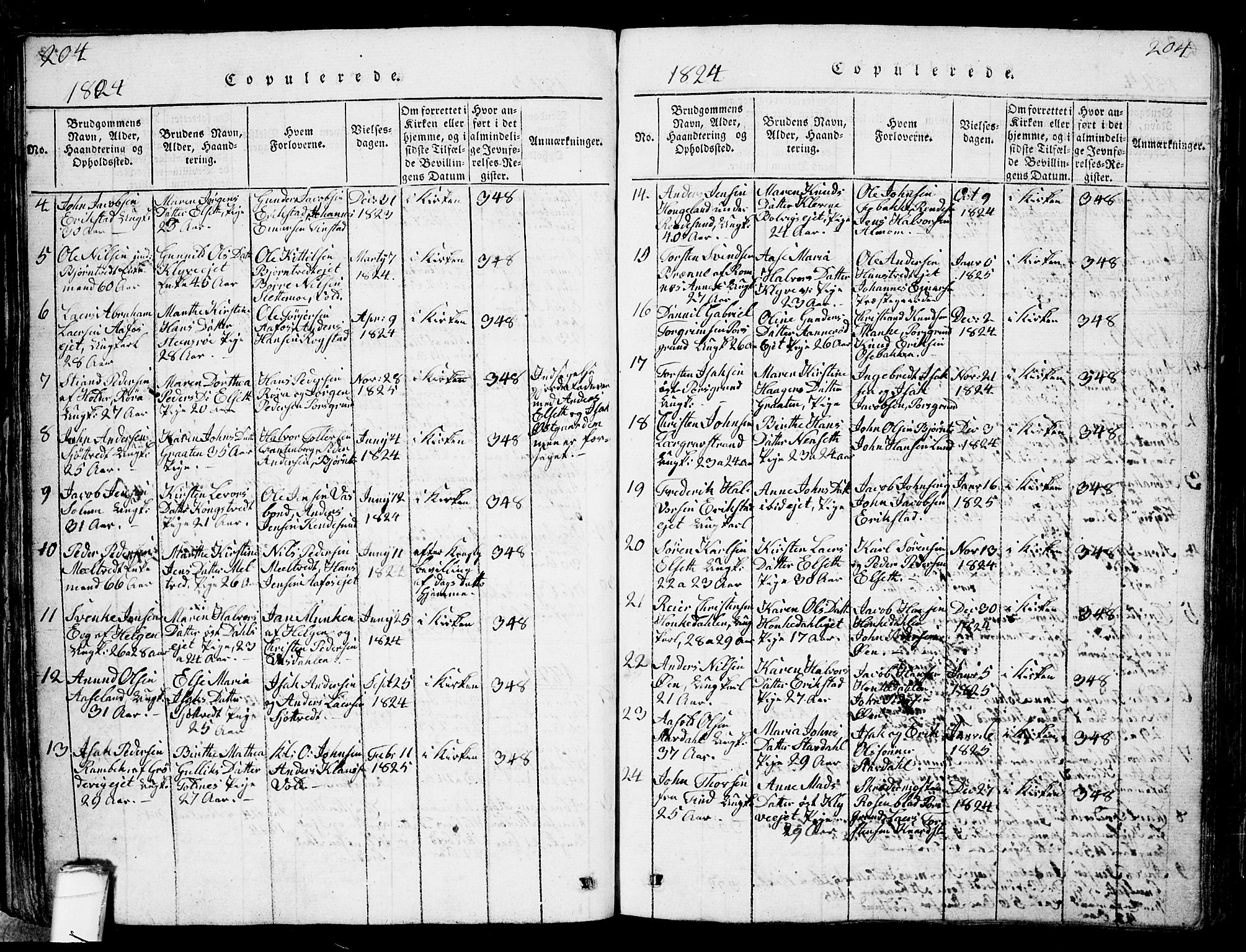 Solum kirkebøker, SAKO/A-306/G/Ga/L0001: Parish register (copy) no. I 1, 1814-1833, p. 204