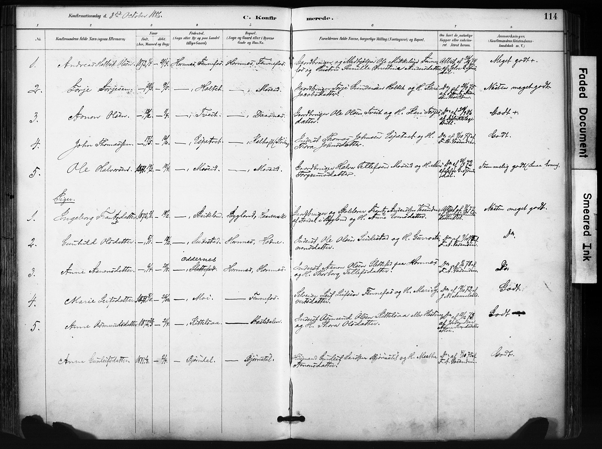 Evje sokneprestkontor, SAK/1111-0008/F/Fa/Fab/L0003: Parish register (official) no. A 3, 1884-1909, p. 114