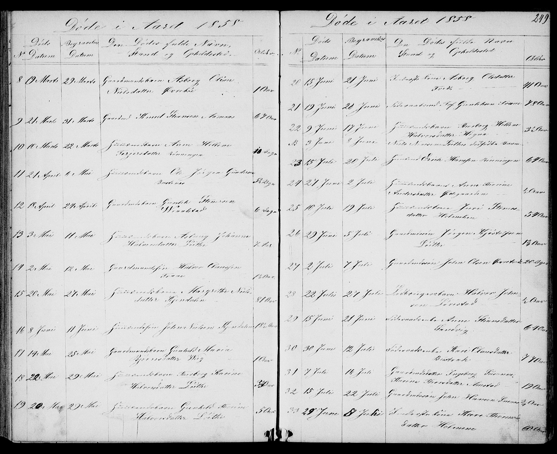 Drangedal kirkebøker, SAKO/A-258/G/Gb/L0001: Parish register (copy) no. II 1, 1856-1894, p. 249