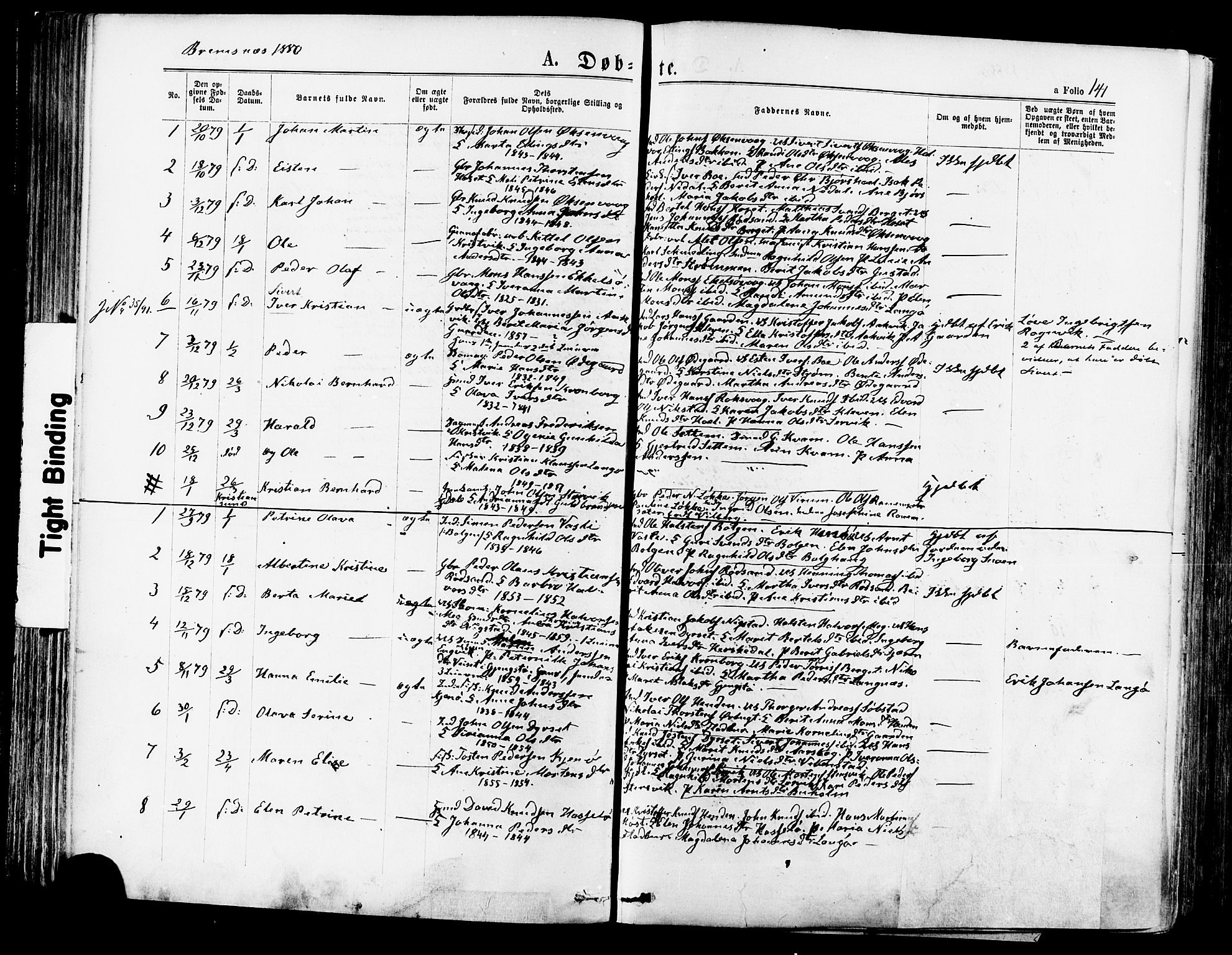 Ministerialprotokoller, klokkerbøker og fødselsregistre - Møre og Romsdal, SAT/A-1454/568/L0806: Parish register (official) no. 568A12 /3, 1878-1884, p. 141