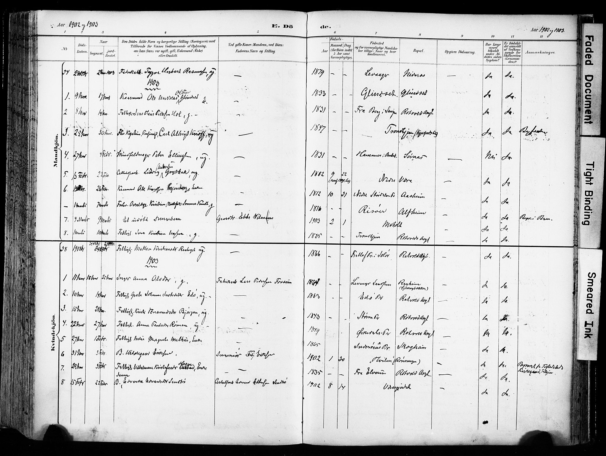 Ministerialprotokoller, klokkerbøker og fødselsregistre - Sør-Trøndelag, AV/SAT-A-1456/606/L0301: Parish register (official) no. 606A16, 1894-1907