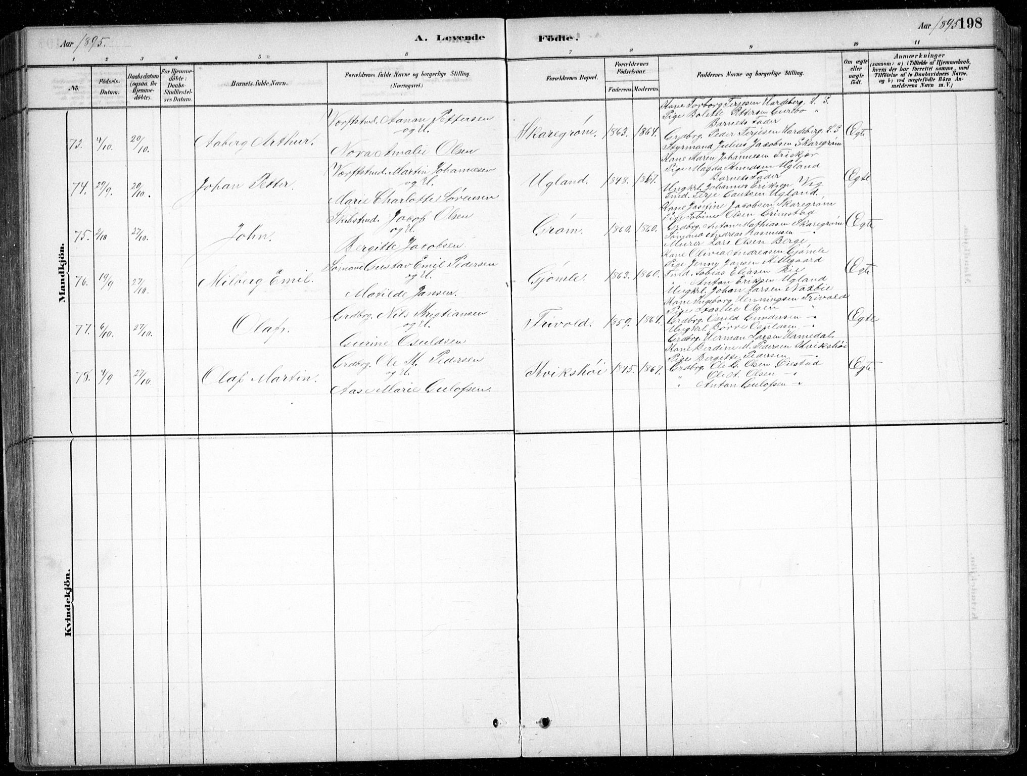 Fjære sokneprestkontor, AV/SAK-1111-0011/F/Fb/L0011: Parish register (copy) no. B 11, 1881-1905, p. 198