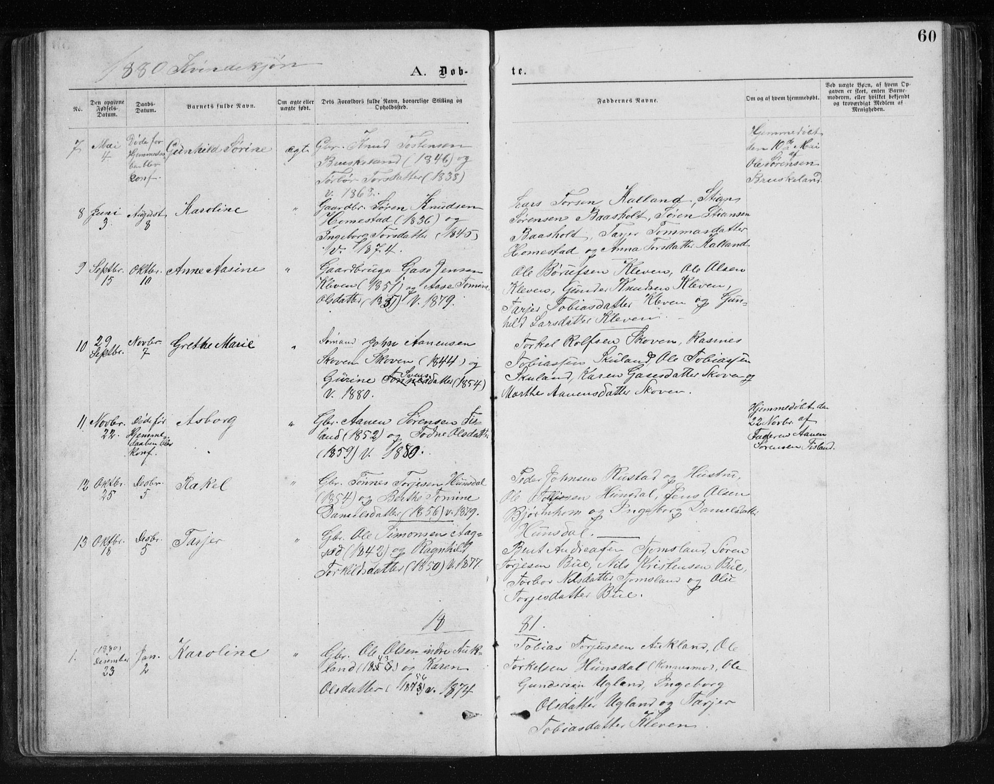 Holum sokneprestkontor, SAK/1111-0022/F/Fb/Fbb/L0003: Parish register (copy) no. B 3, 1875-1898, p. 60