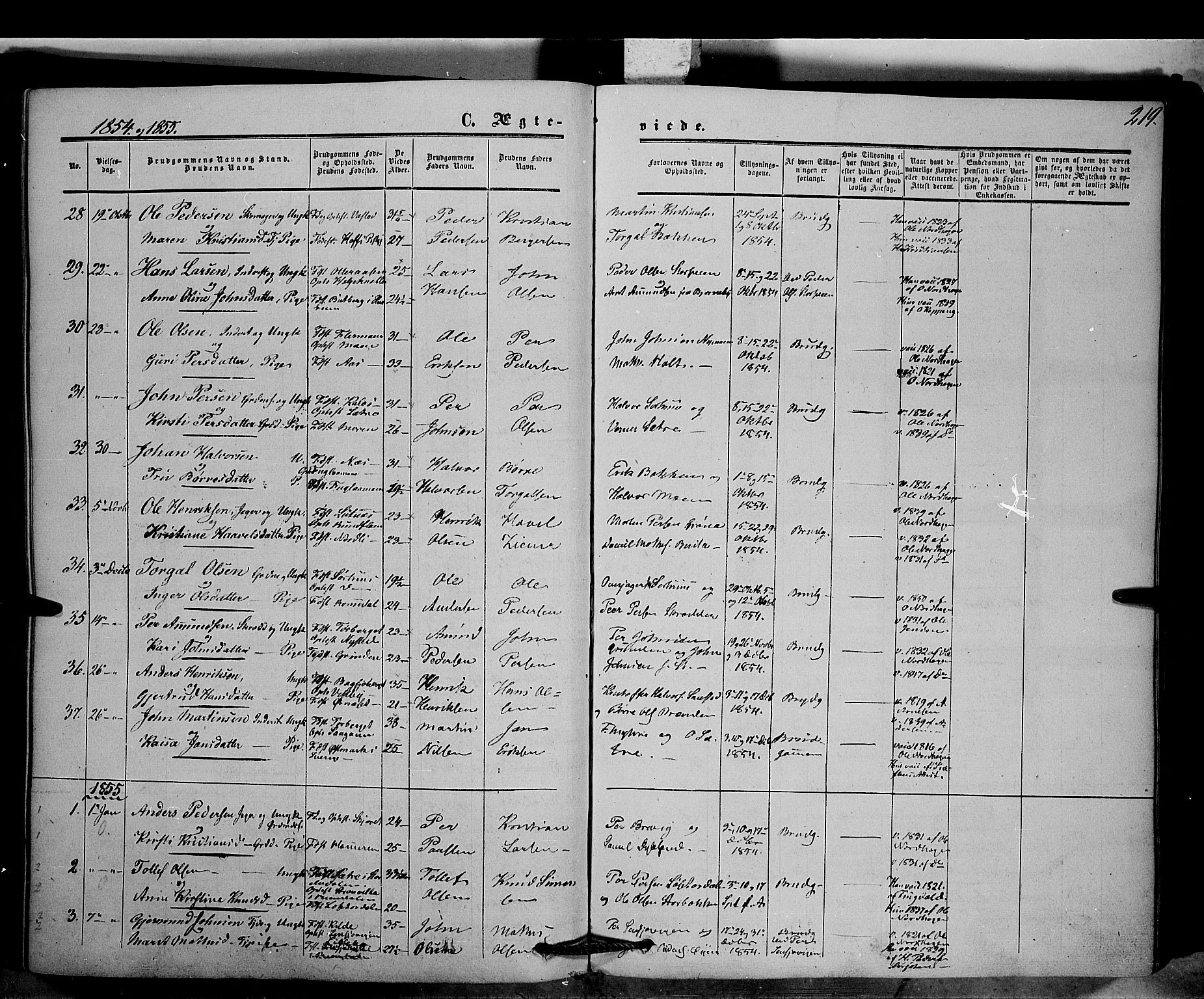 Trysil prestekontor, AV/SAH-PREST-046/H/Ha/Haa/L0005: Parish register (official) no. 5, 1851-1865, p. 219