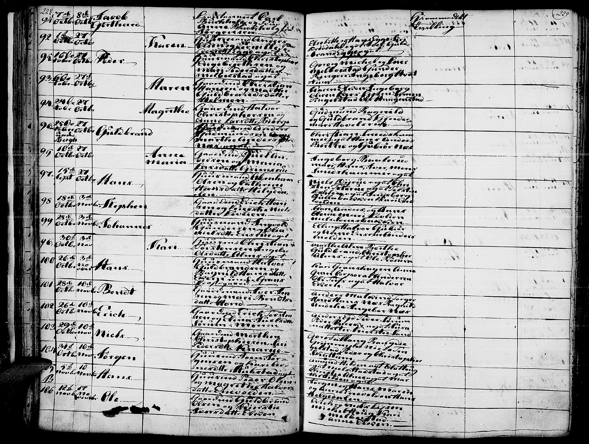 Gran prestekontor, AV/SAH-PREST-112/H/Ha/Haa/L0010: Parish register (official) no. 10, 1824-1842, p. 228-229