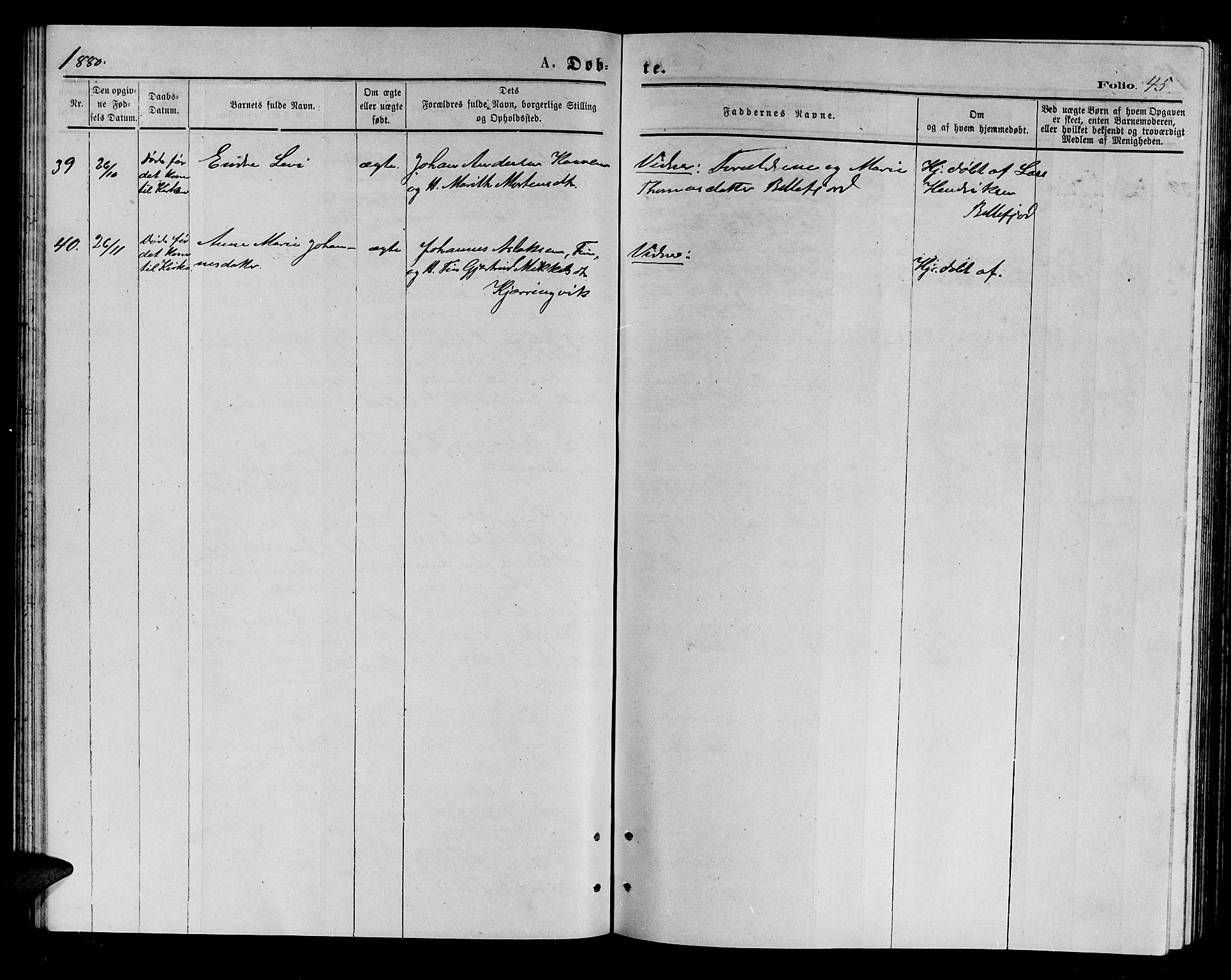 Kistrand/Porsanger sokneprestembete, AV/SATØ-S-1351/H/Hb/L0003.klokk: Parish register (copy) no. 3, 1874-1885, p. 45