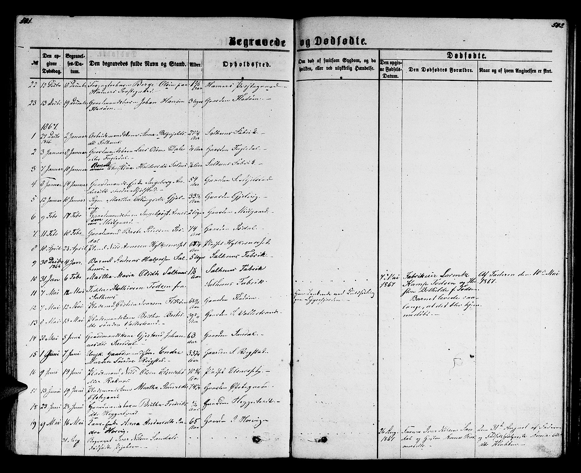 Hamre sokneprestembete, SAB/A-75501/H/Ha/Hab: Parish register (copy) no. B 2, 1863-1880, p. 501-502