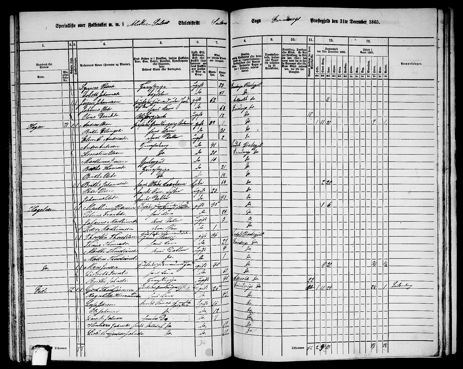 RA, 1865 census for Eivindvik, 1865, p. 173