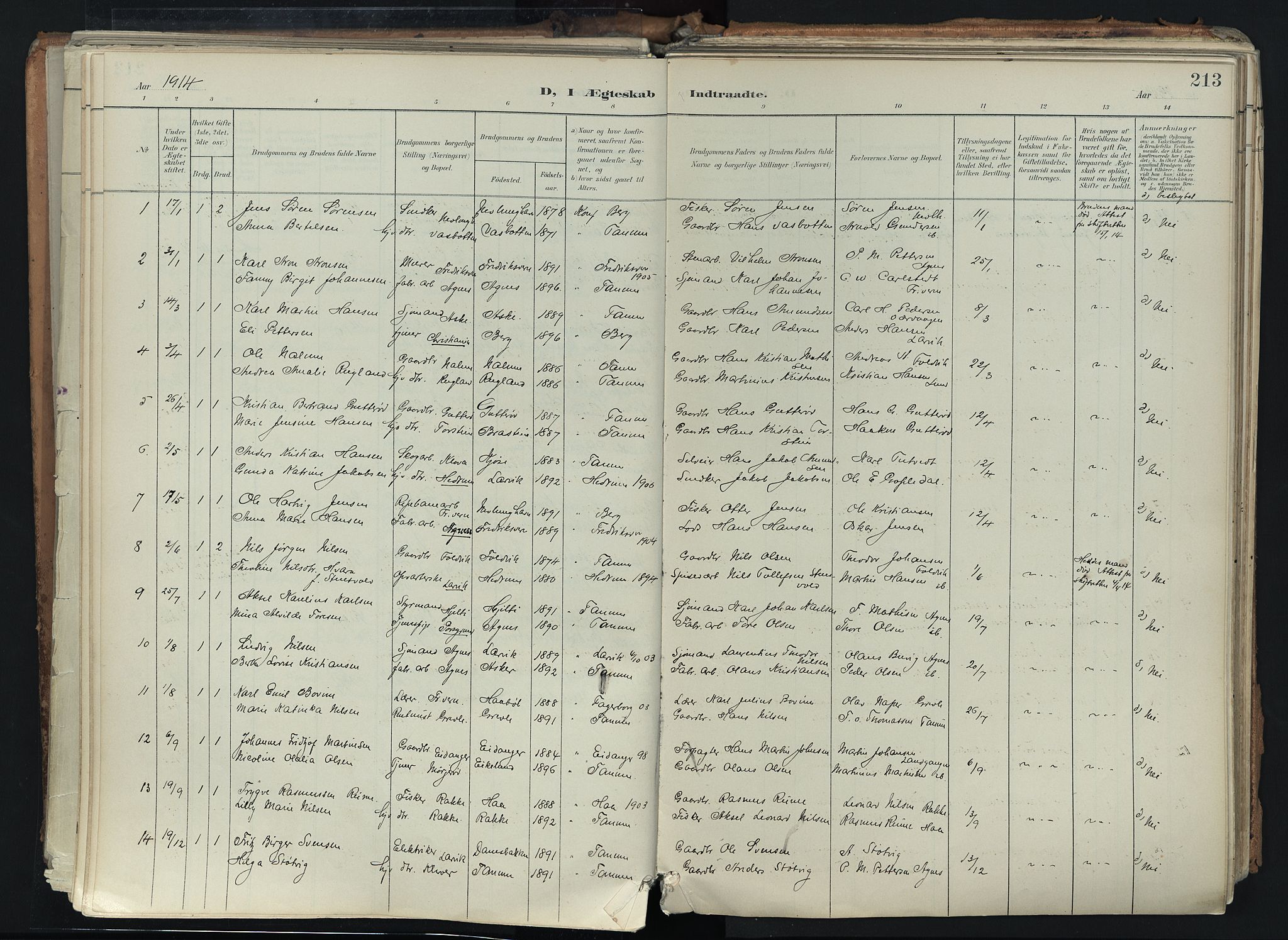 Brunlanes kirkebøker, SAKO/A-342/F/Fc/L0003: Parish register (official) no. III 3, 1900-1922, p. 213