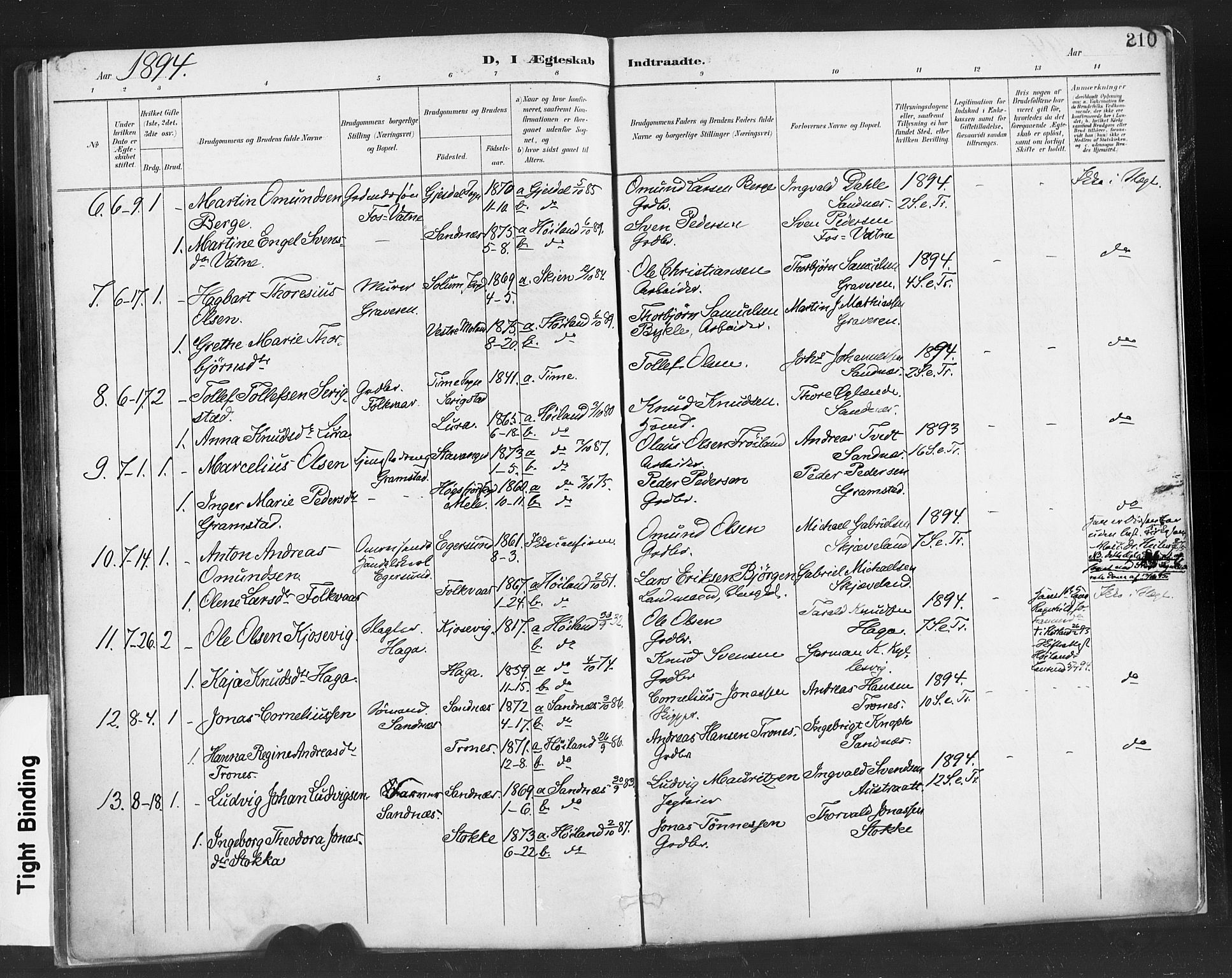 Høyland sokneprestkontor, SAST/A-101799/001/30BA/L0013: Parish register (official) no. A 13.1, 1889-1898, p. 210