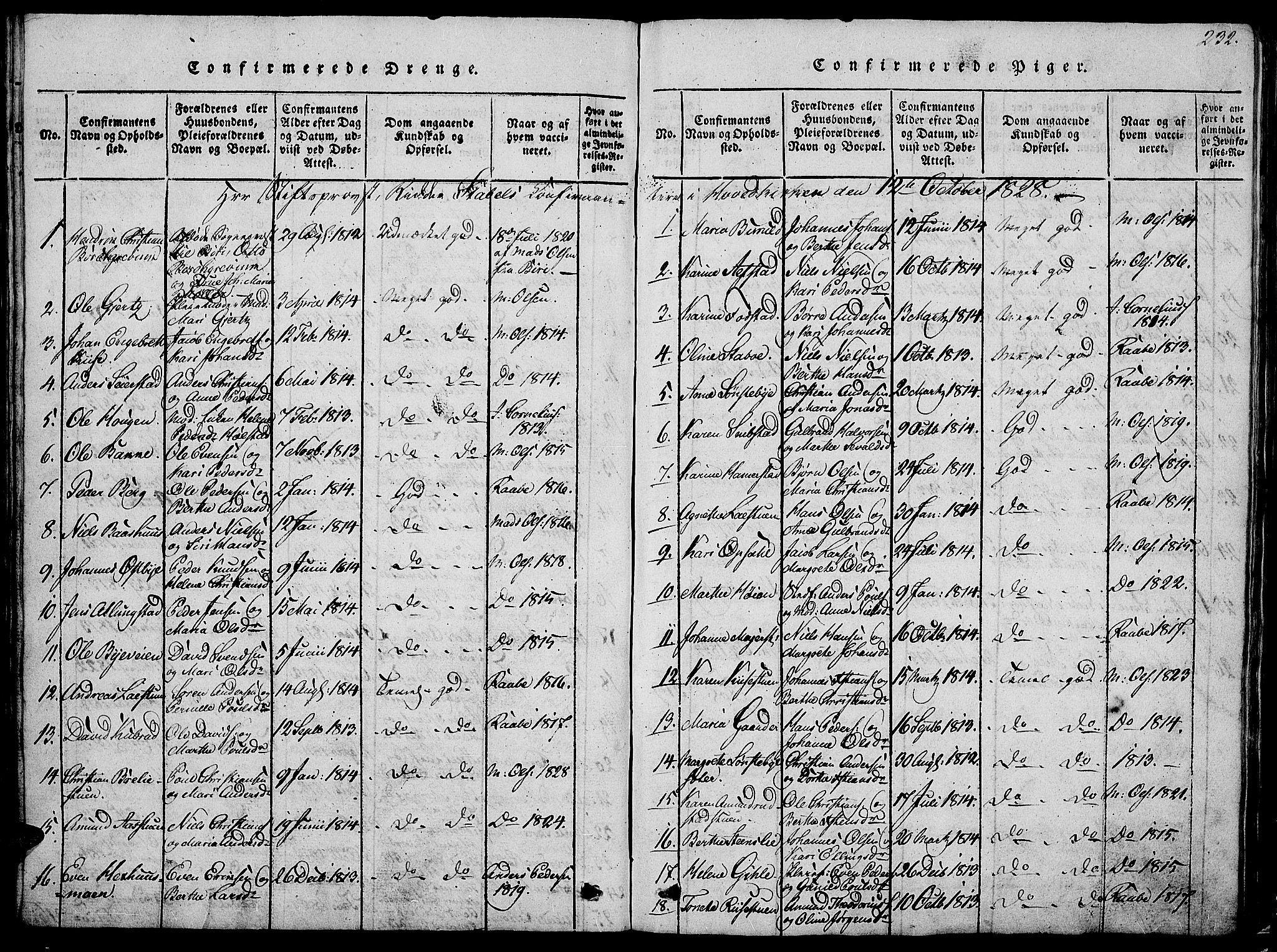 Østre Toten prestekontor, SAH/PREST-104/H/Ha/Hab/L0001: Parish register (copy) no. 1, 1827-1839, p. 232