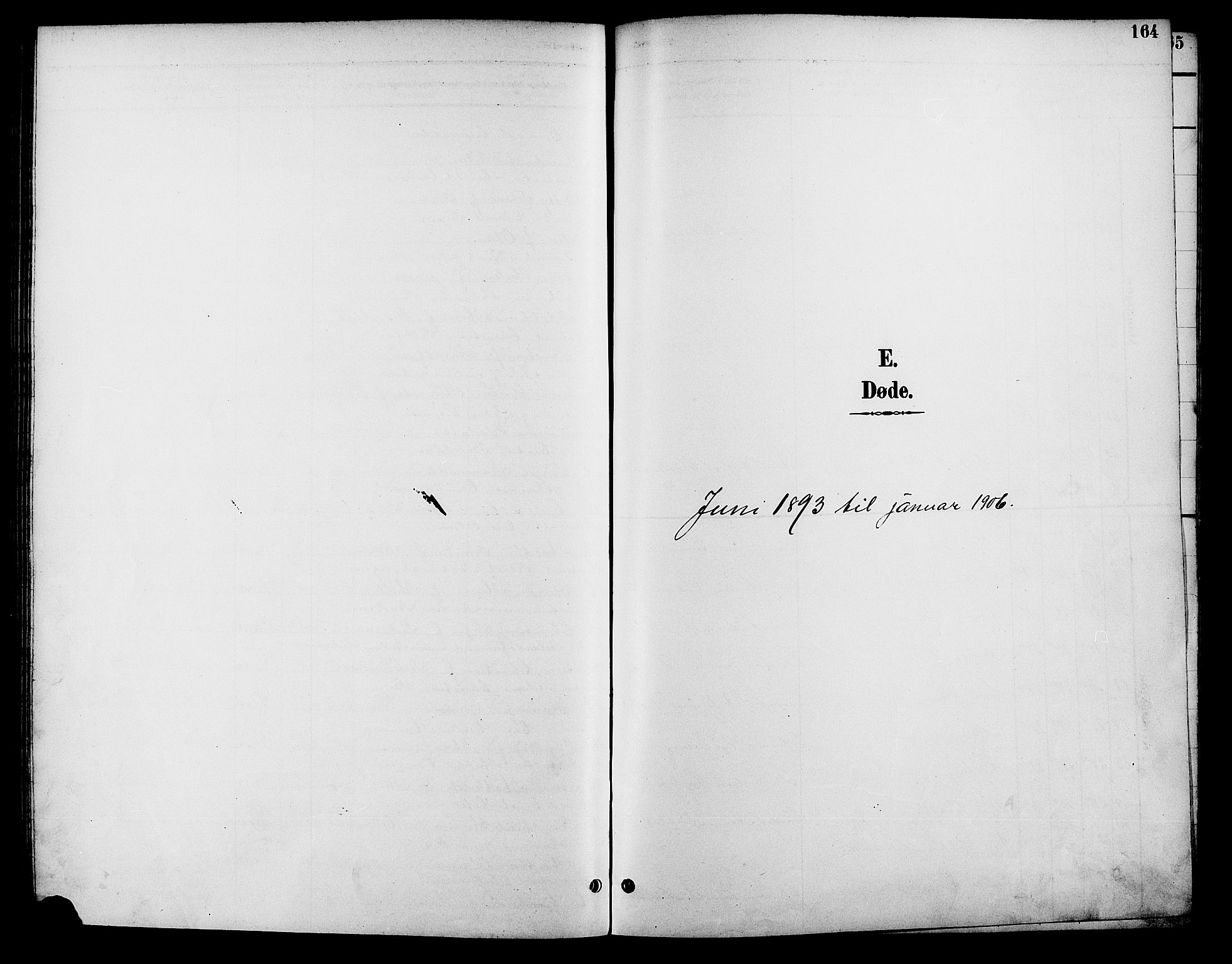 Kristiansand domprosti, SAK/1112-0006/F/Fb/L0017: Parish register (copy) no. B 17, 1893-1906, p. 164