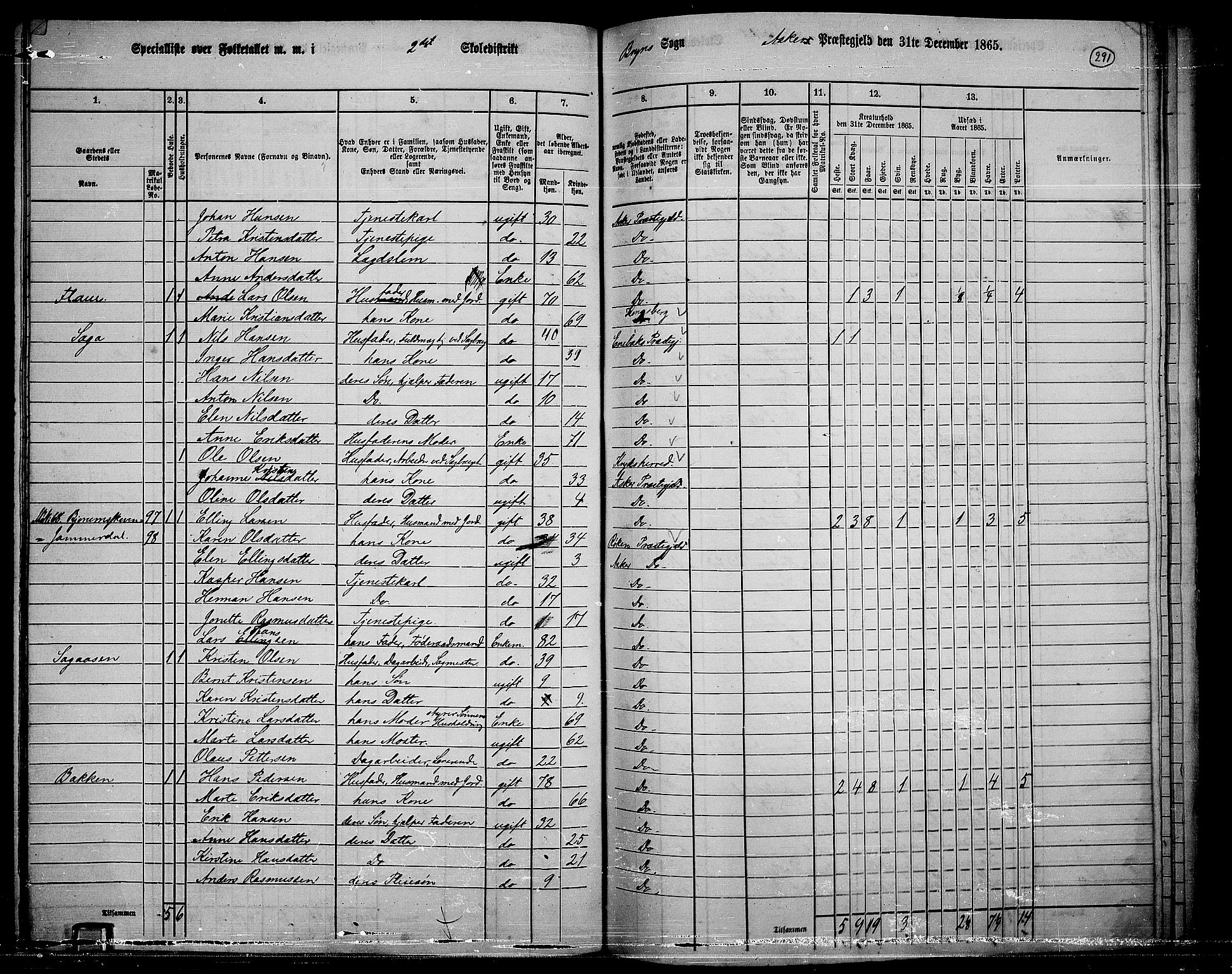 RA, 1865 census for Asker, 1865, p. 280