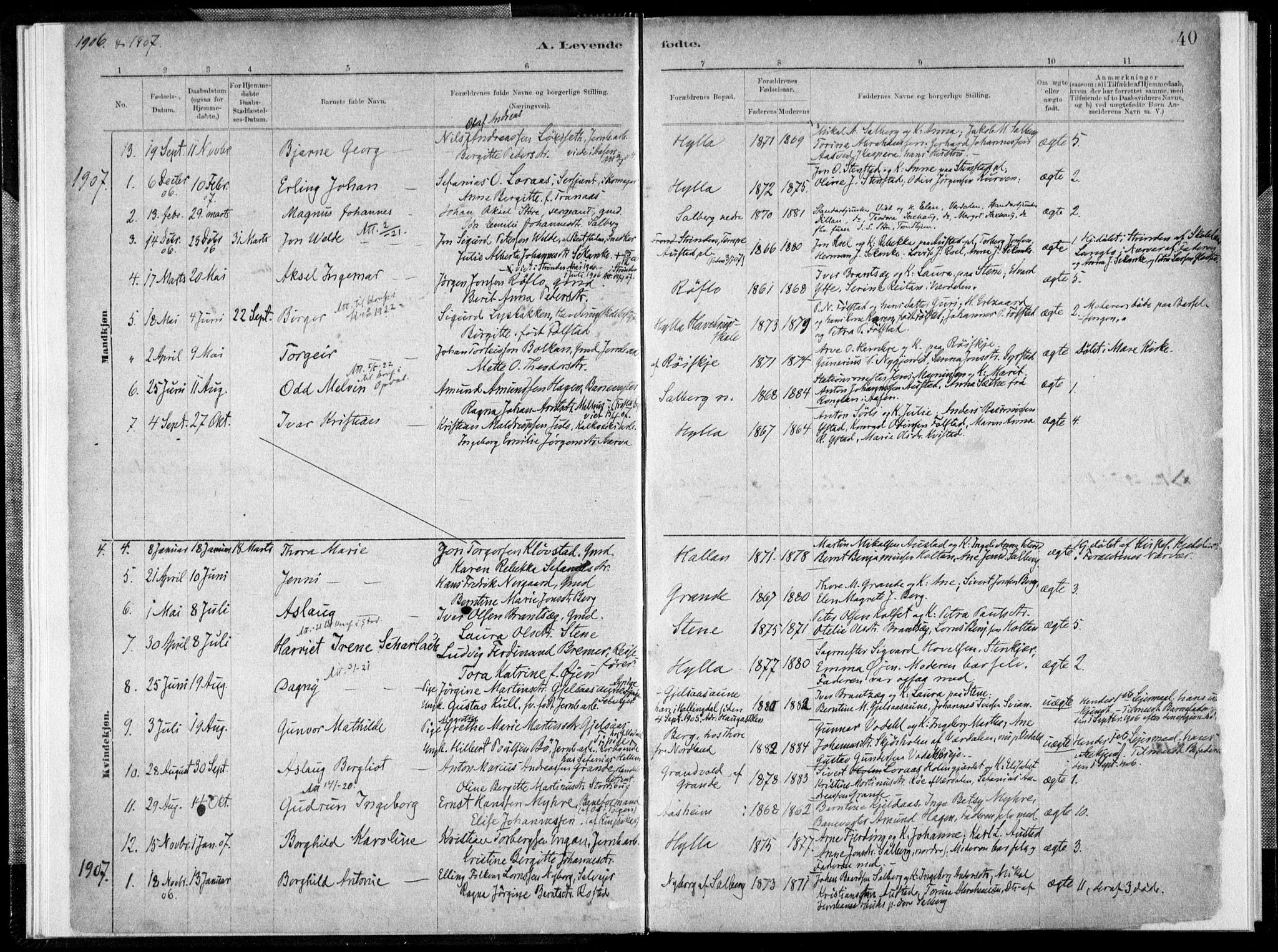 Ministerialprotokoller, klokkerbøker og fødselsregistre - Nord-Trøndelag, AV/SAT-A-1458/731/L0309: Parish register (official) no. 731A01, 1879-1918, p. 40