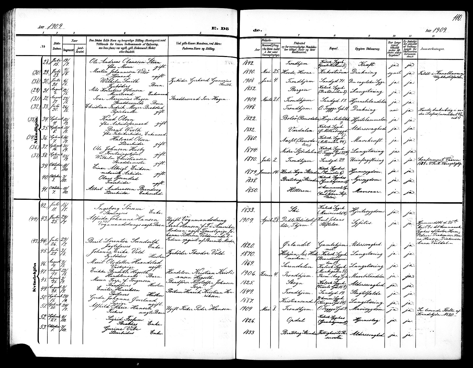 Ministerialprotokoller, klokkerbøker og fødselsregistre - Sør-Trøndelag, AV/SAT-A-1456/602/L0146: Parish register (copy) no. 602C14, 1904-1914, p. 110