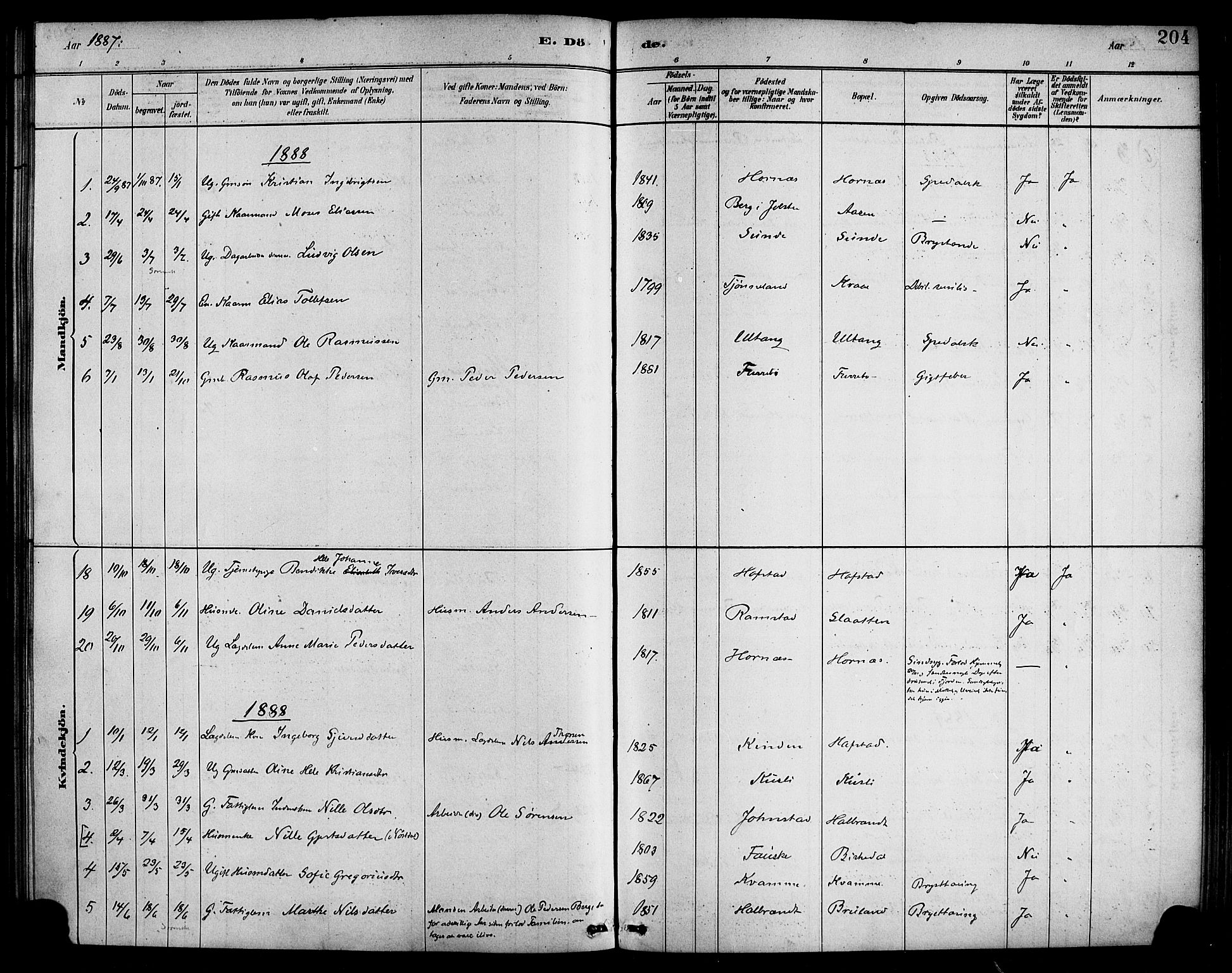 Førde sokneprestembete, SAB/A-79901/H/Haa/Haab/L0001: Parish register (official) no. B 1, 1880-1898, p. 204
