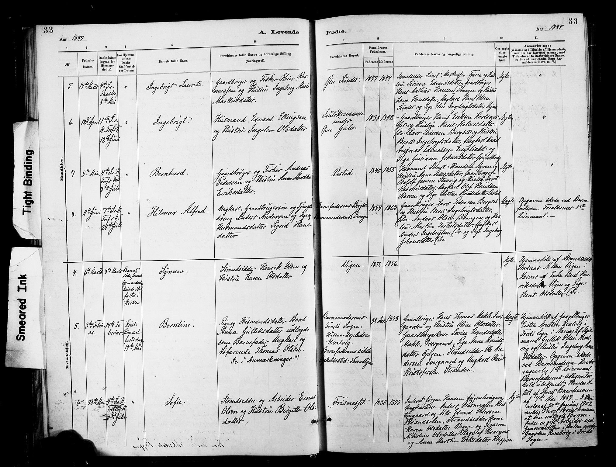 Ministerialprotokoller, klokkerbøker og fødselsregistre - Møre og Romsdal, AV/SAT-A-1454/566/L0769: Parish register (official) no. 566A08, 1881-1903, p. 33