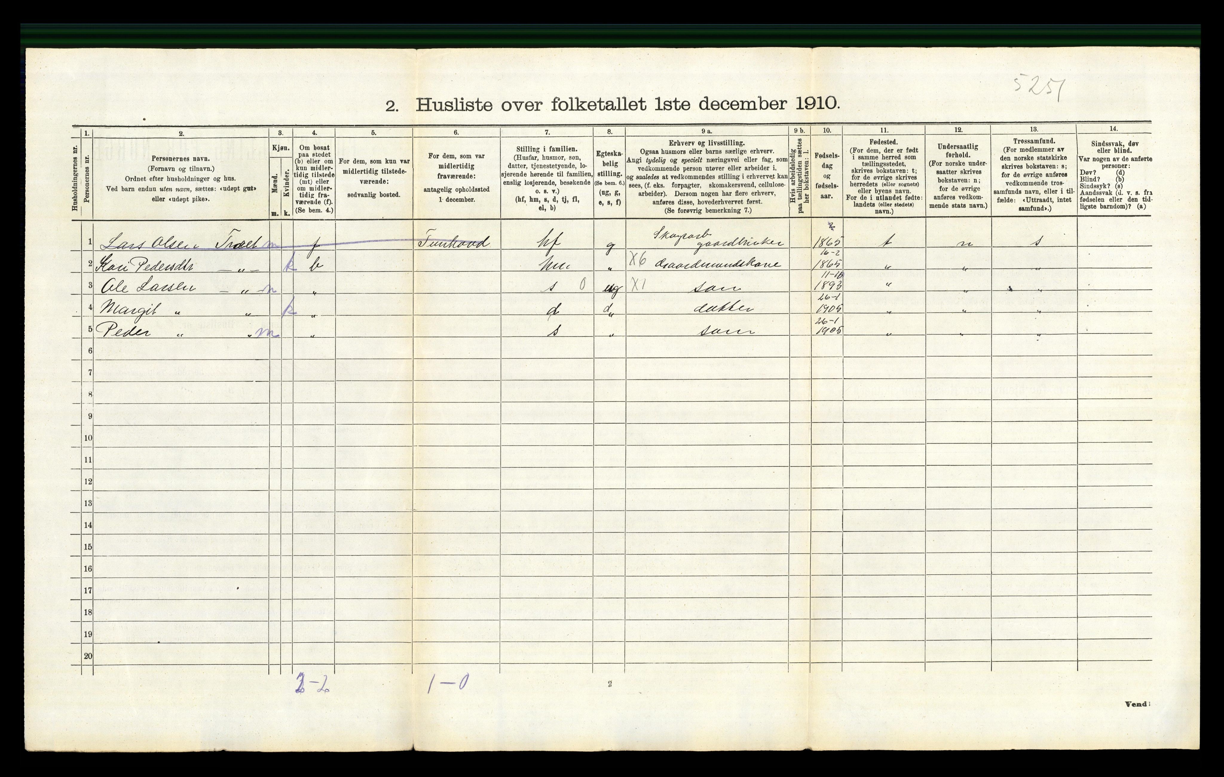 RA, 1910 census for Nes, 1910, p. 903