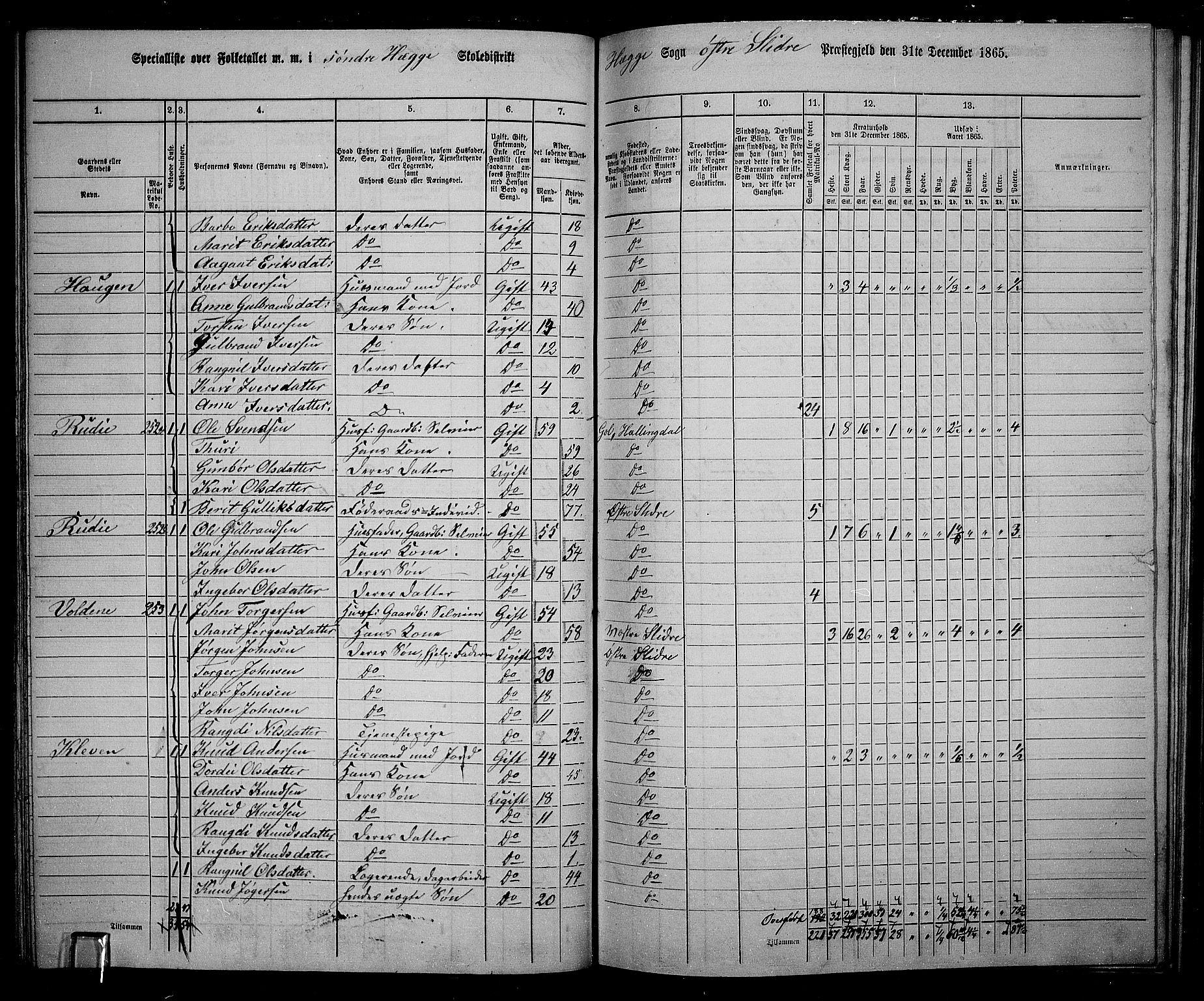 RA, 1865 census for Øystre Slidre, 1865, p. 53