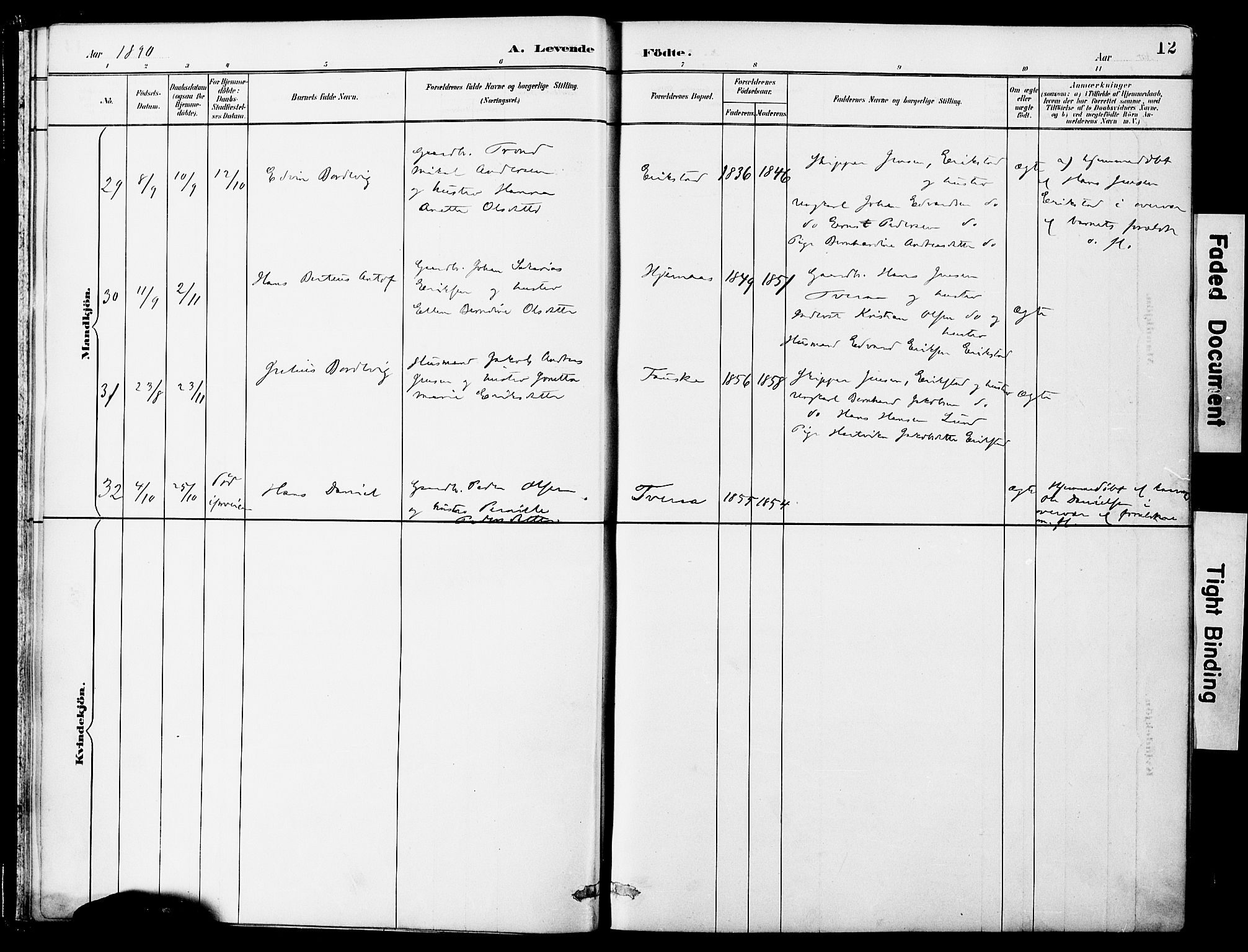 Ministerialprotokoller, klokkerbøker og fødselsregistre - Nordland, AV/SAT-A-1459/849/L0690: Parish register (official) no. 849A02, 1890-1897, p. 12