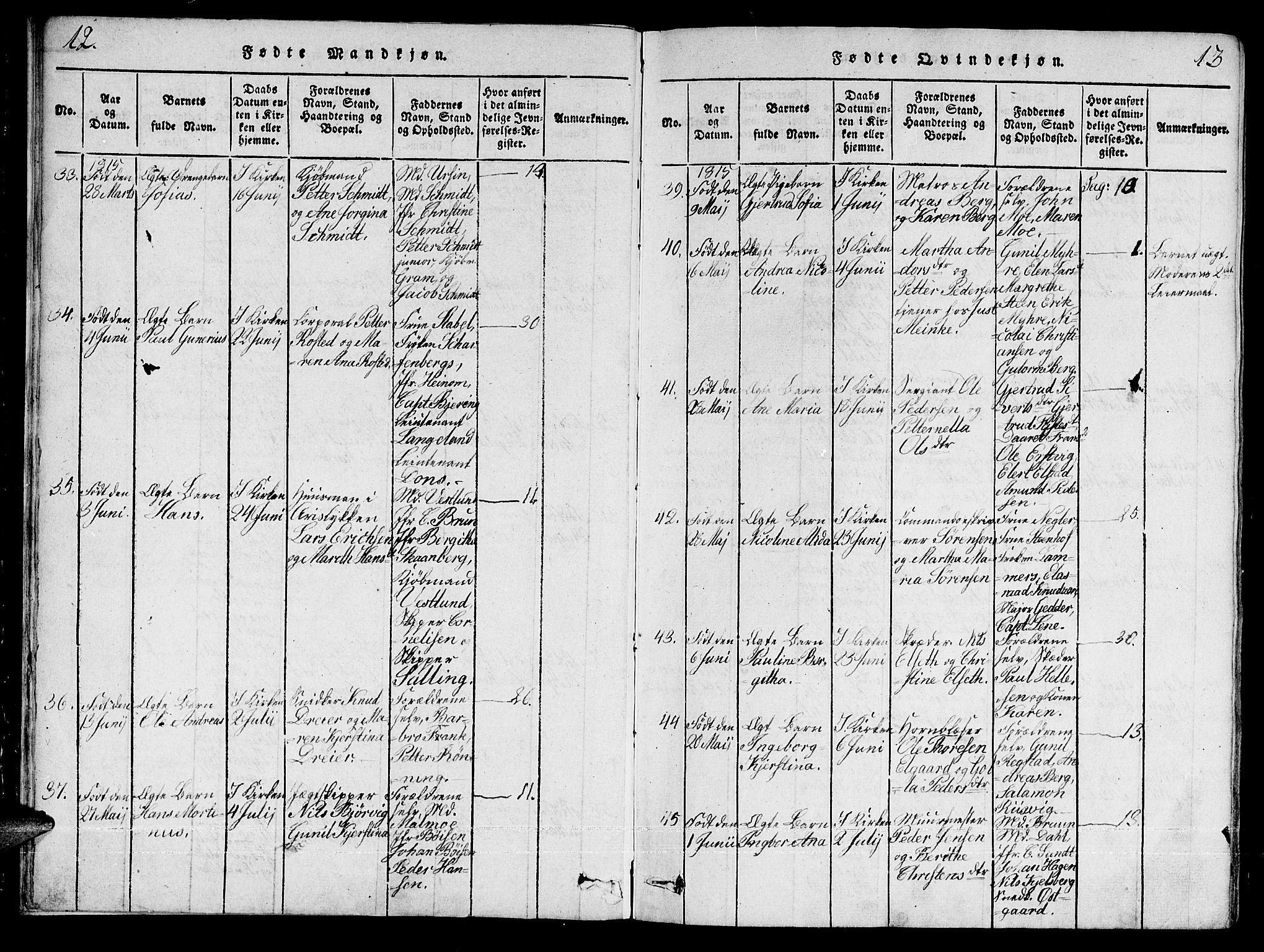 Ministerialprotokoller, klokkerbøker og fødselsregistre - Sør-Trøndelag, SAT/A-1456/601/L0043: Parish register (official) no. 601A11, 1815-1821, p. 12-13
